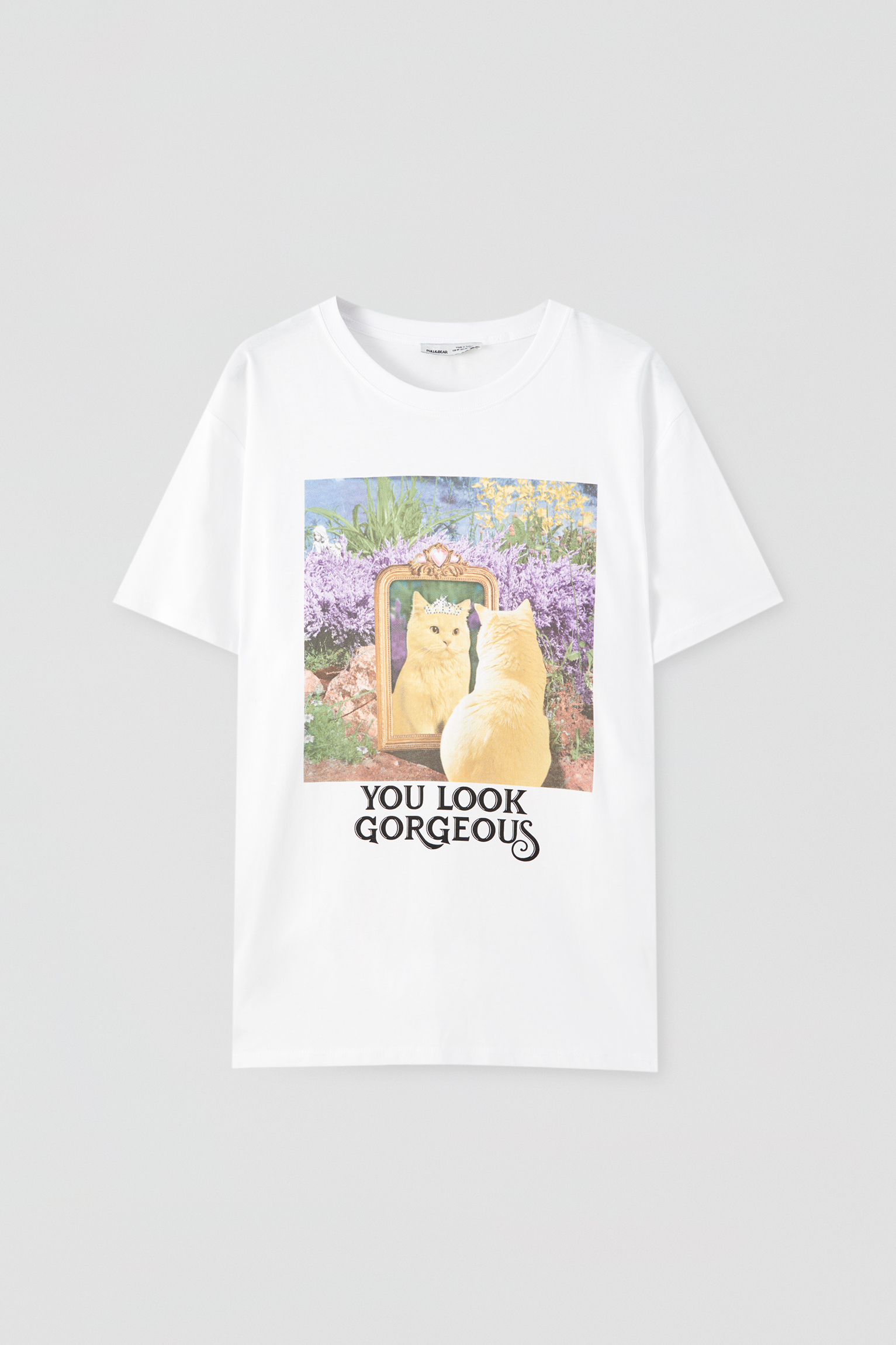 cat slogan t shirts