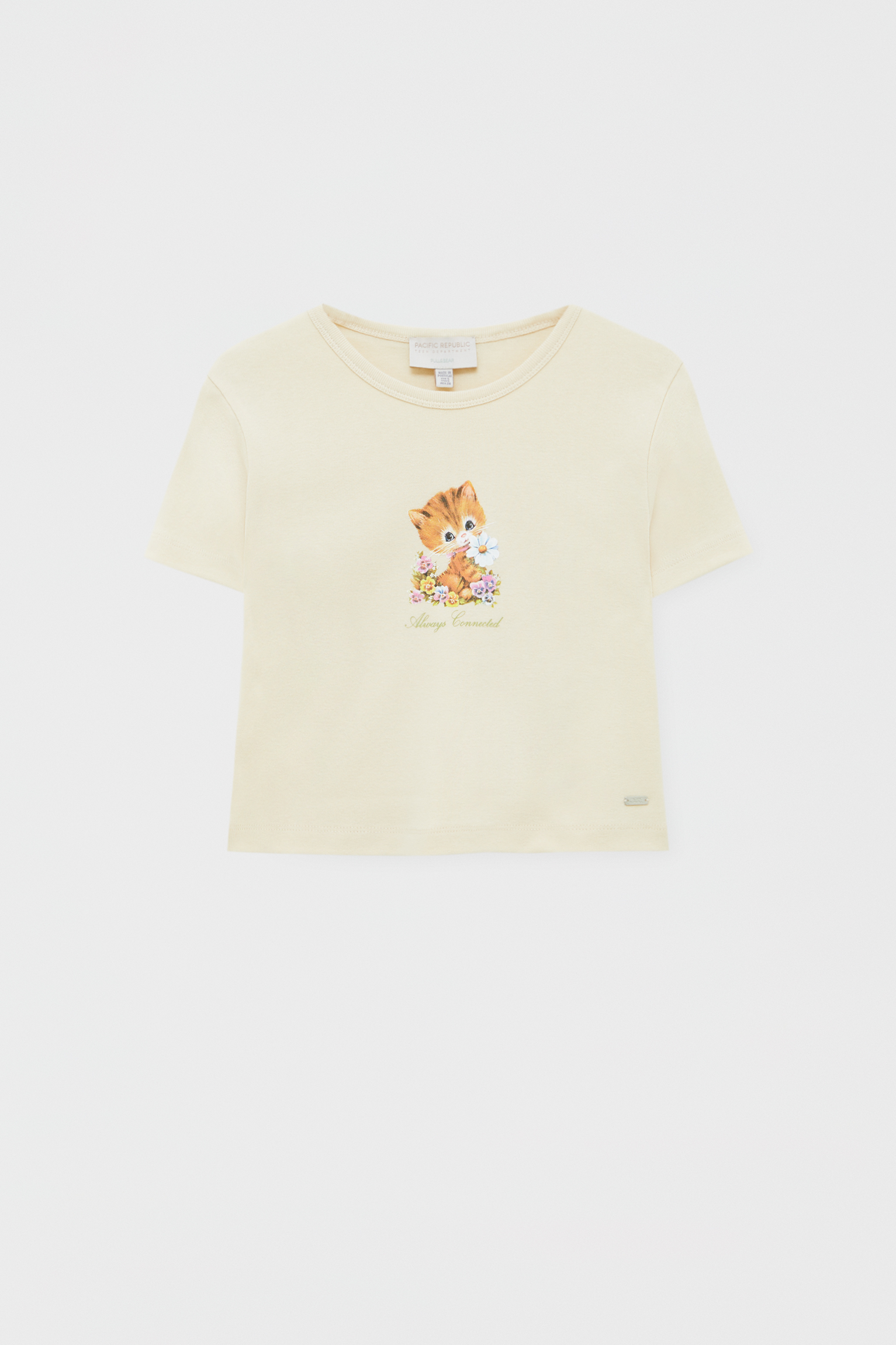 kitten tee shirt