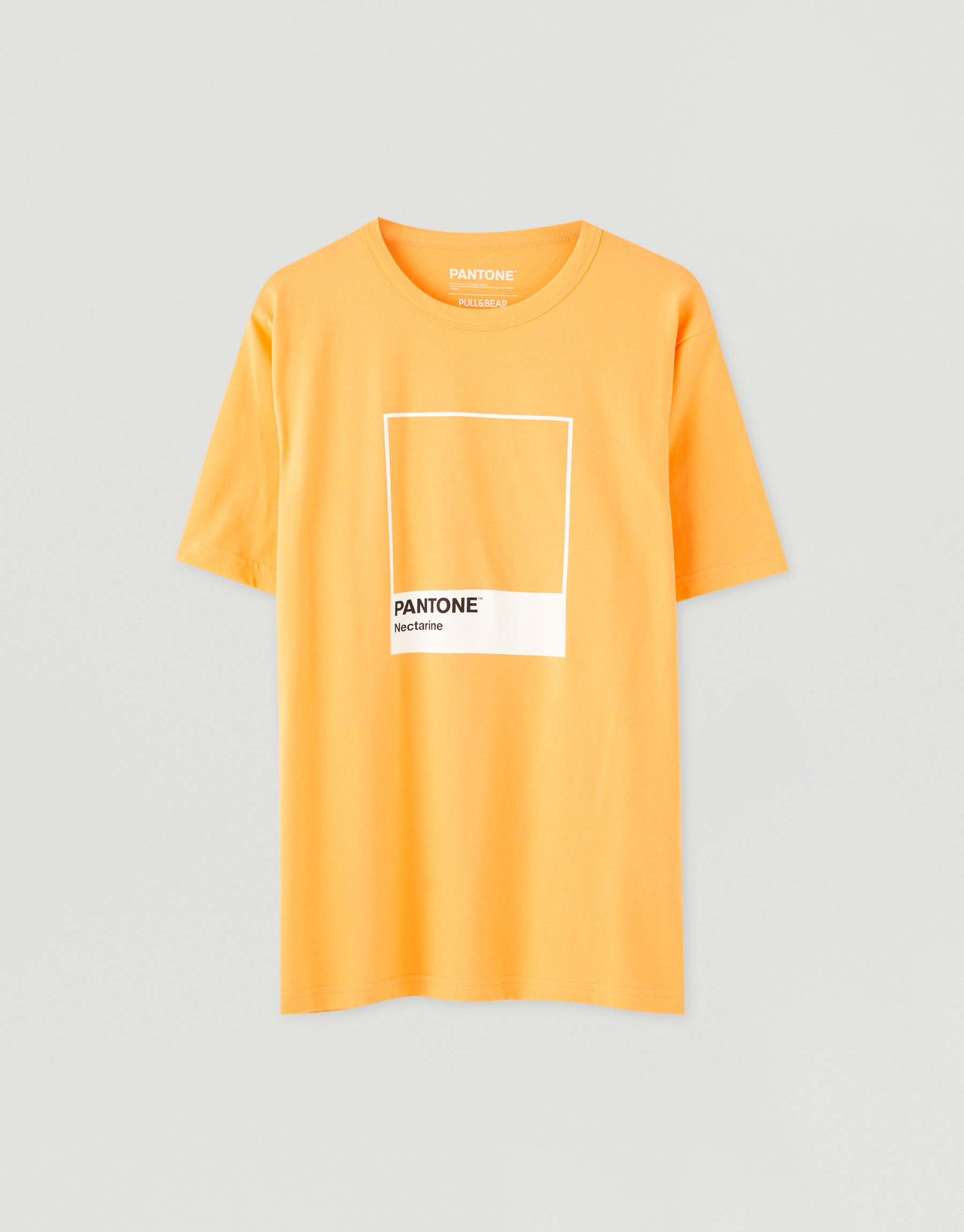 pull and bear pantone t shirt