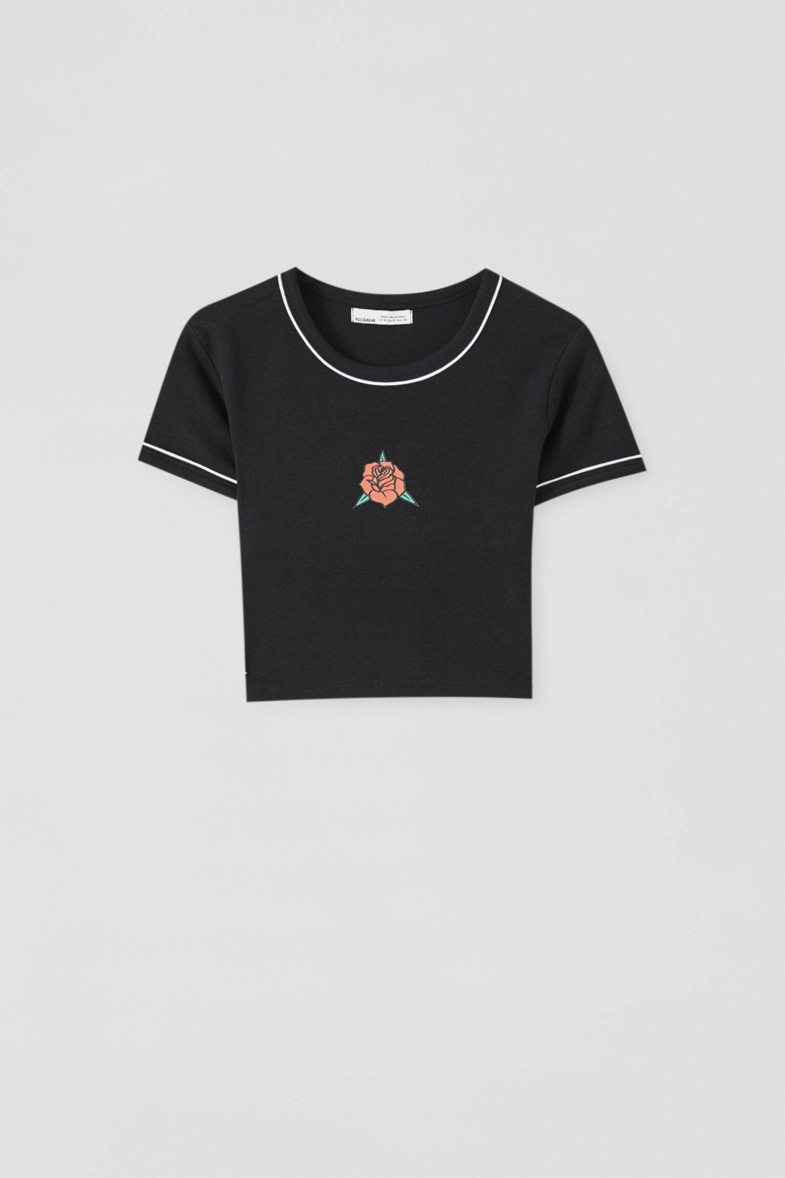 pull hollister rose