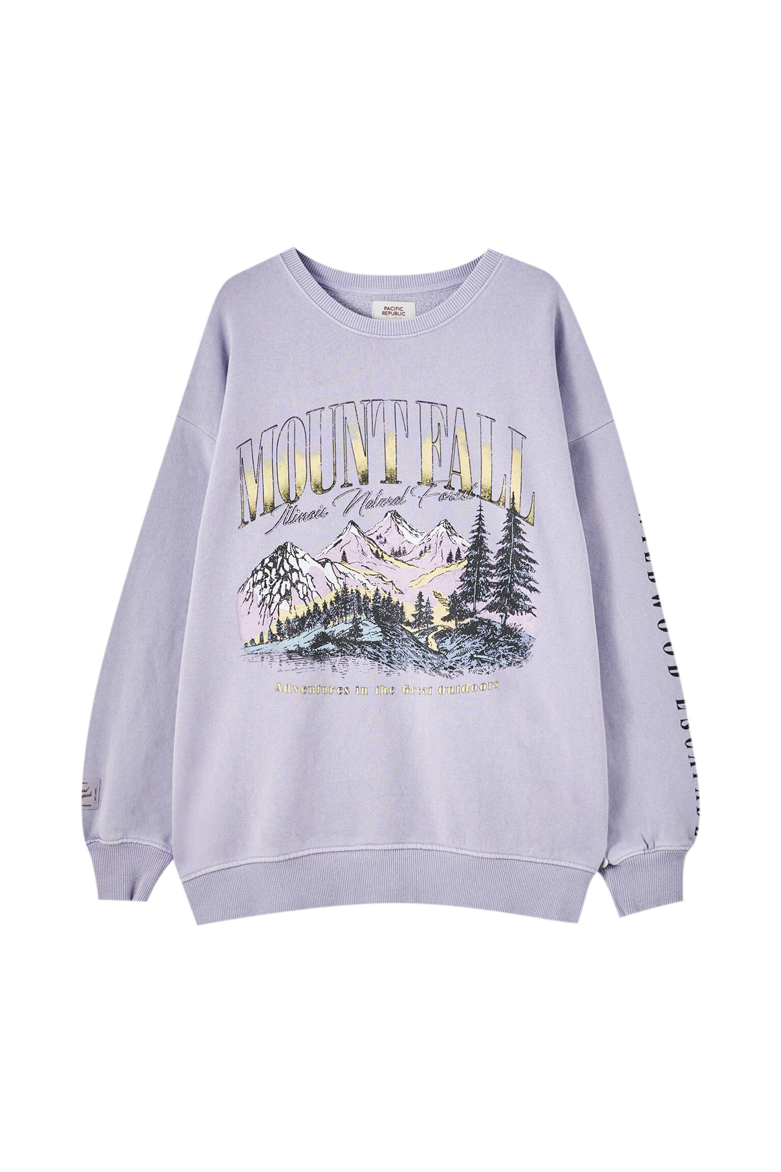 ЦВЕТ МАЛЬВЫ Толстовка в винтажном стиле с принтом «Горы» Pull & Bear