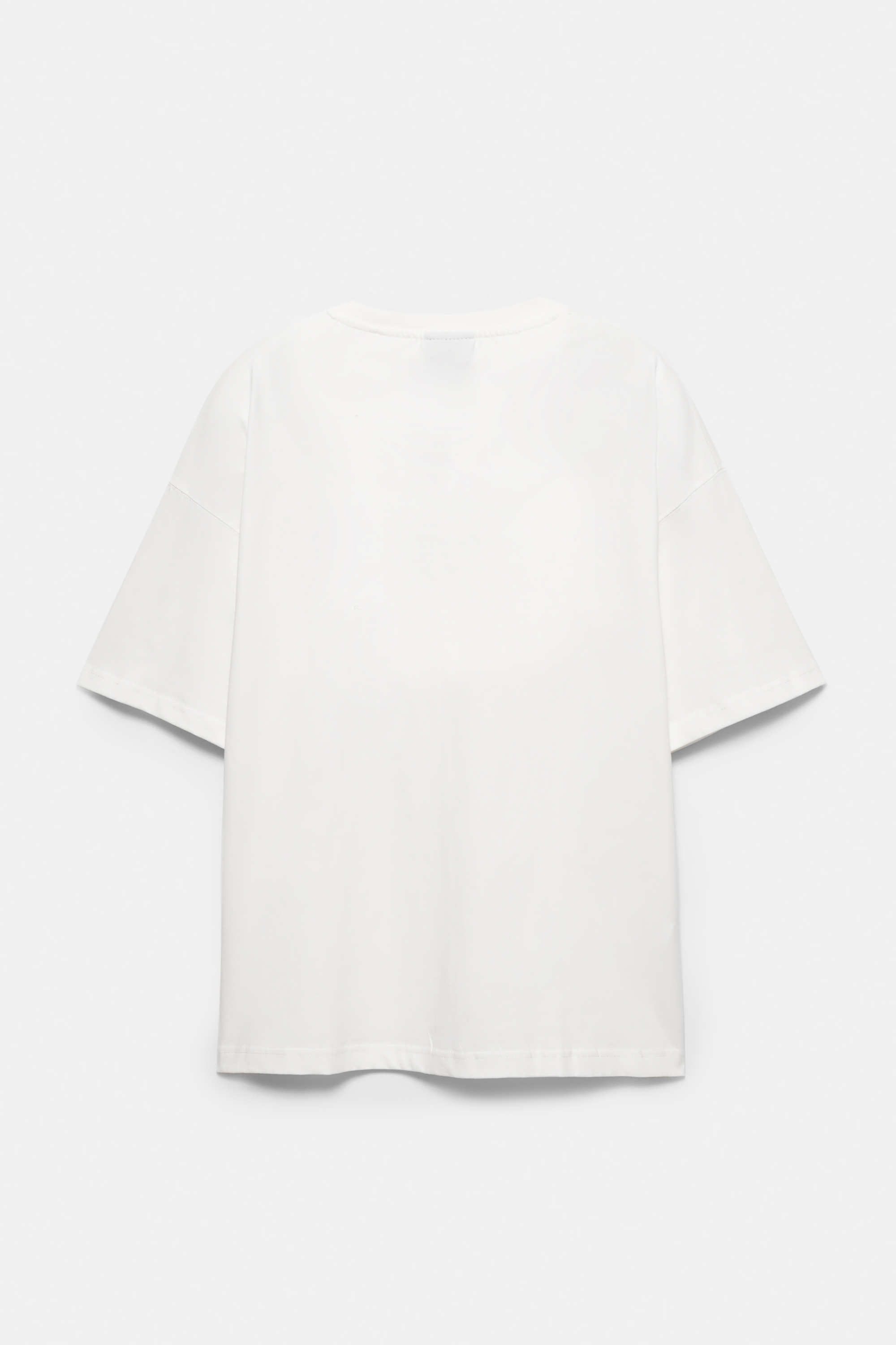 تيشرت أبيض بطبعة صورية للقنافذ