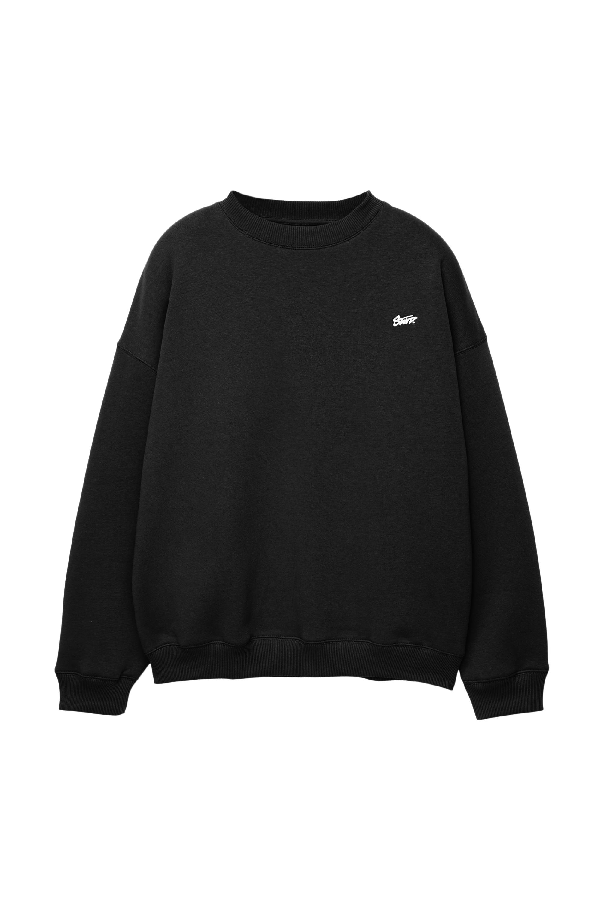 STWD bisiklet yaka sweatshirt - Görsel 54