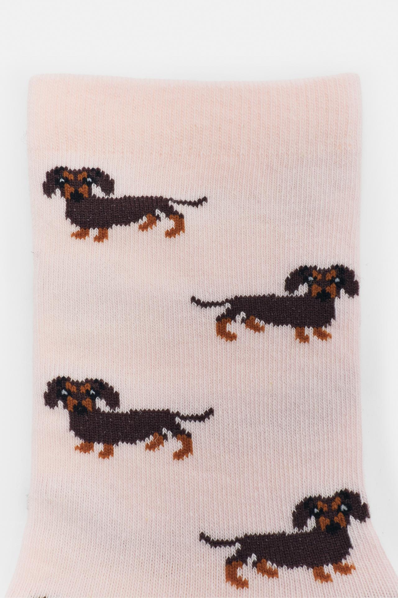 Dachshund graphic socks — Pink