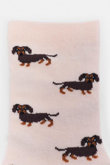 Dachshund graphic socks — Pink 2