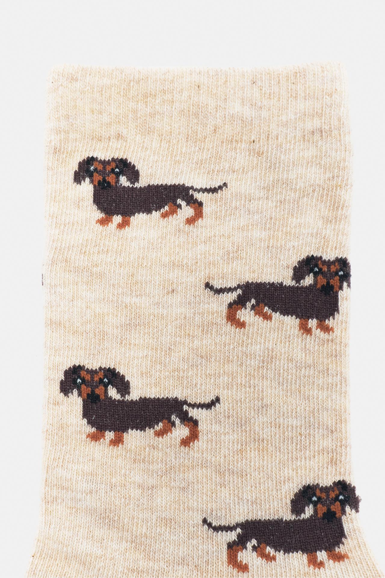 Dachshund graphic socks — Beach sand