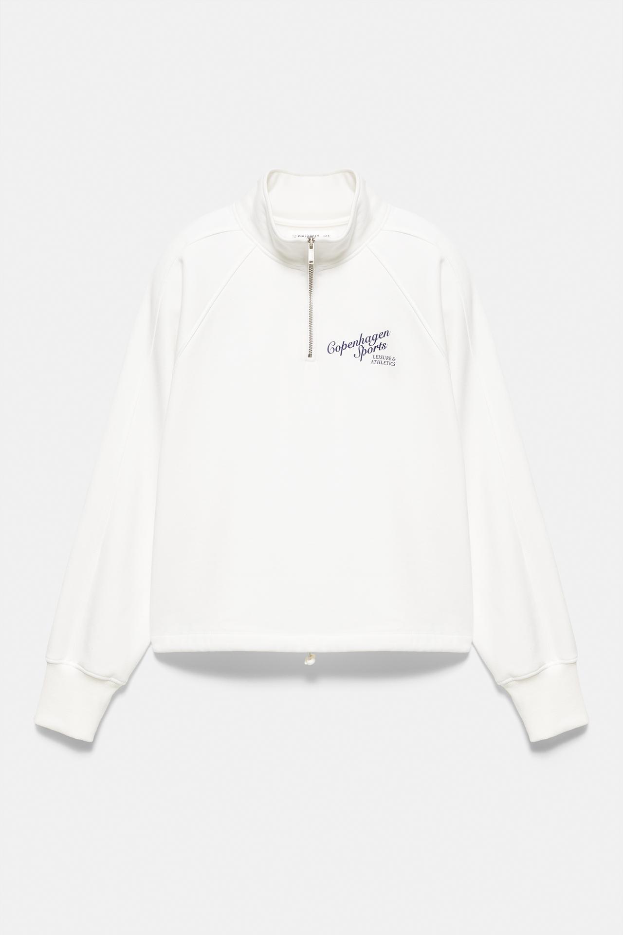 Graphic quarter-zip sweatshirt — Ice