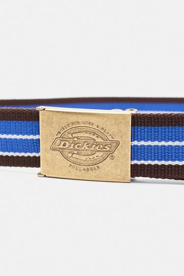 Striped belt with Dickies buckle — Others 3