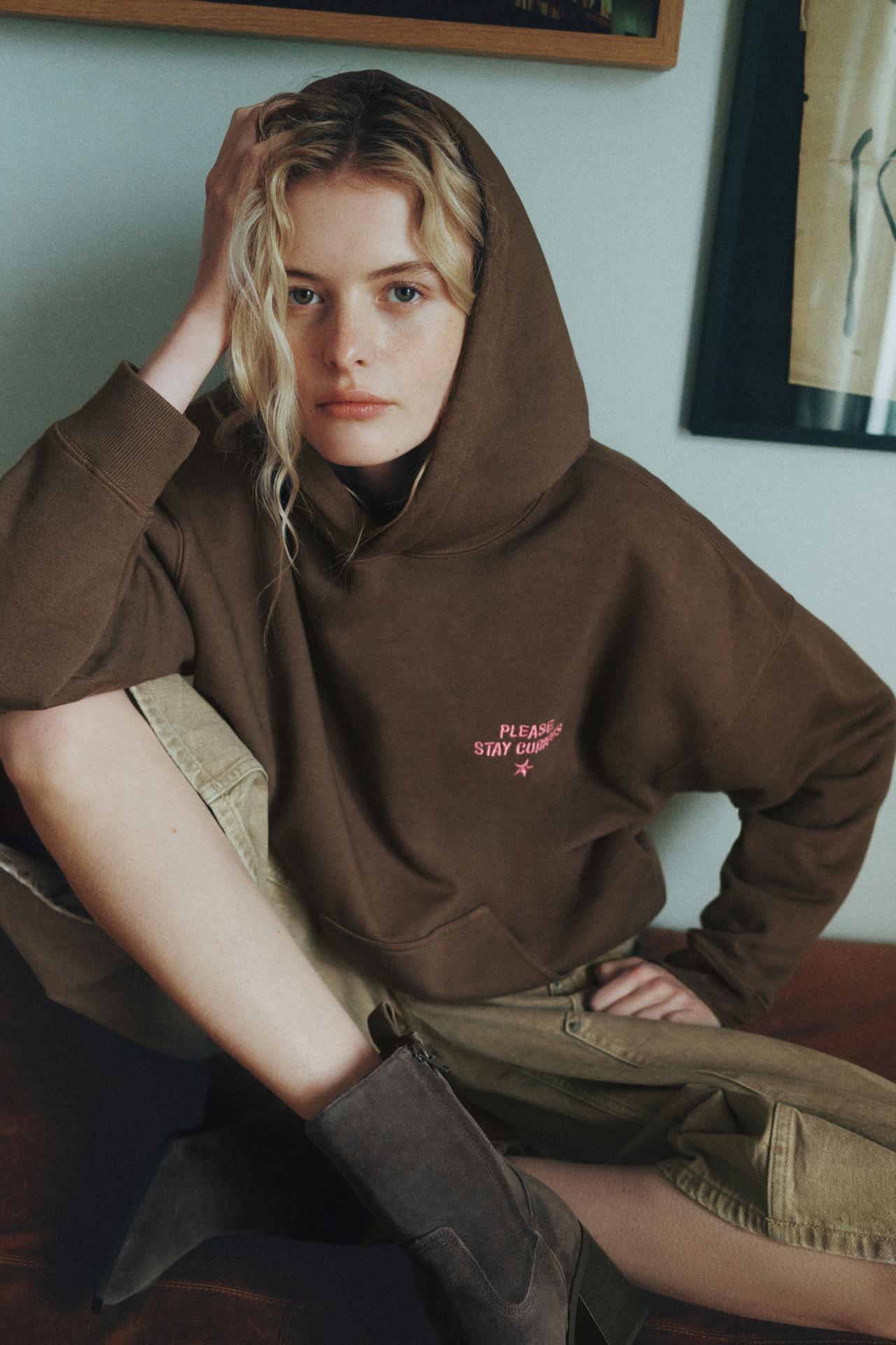 Embroidered hood sweatshirt — Brown