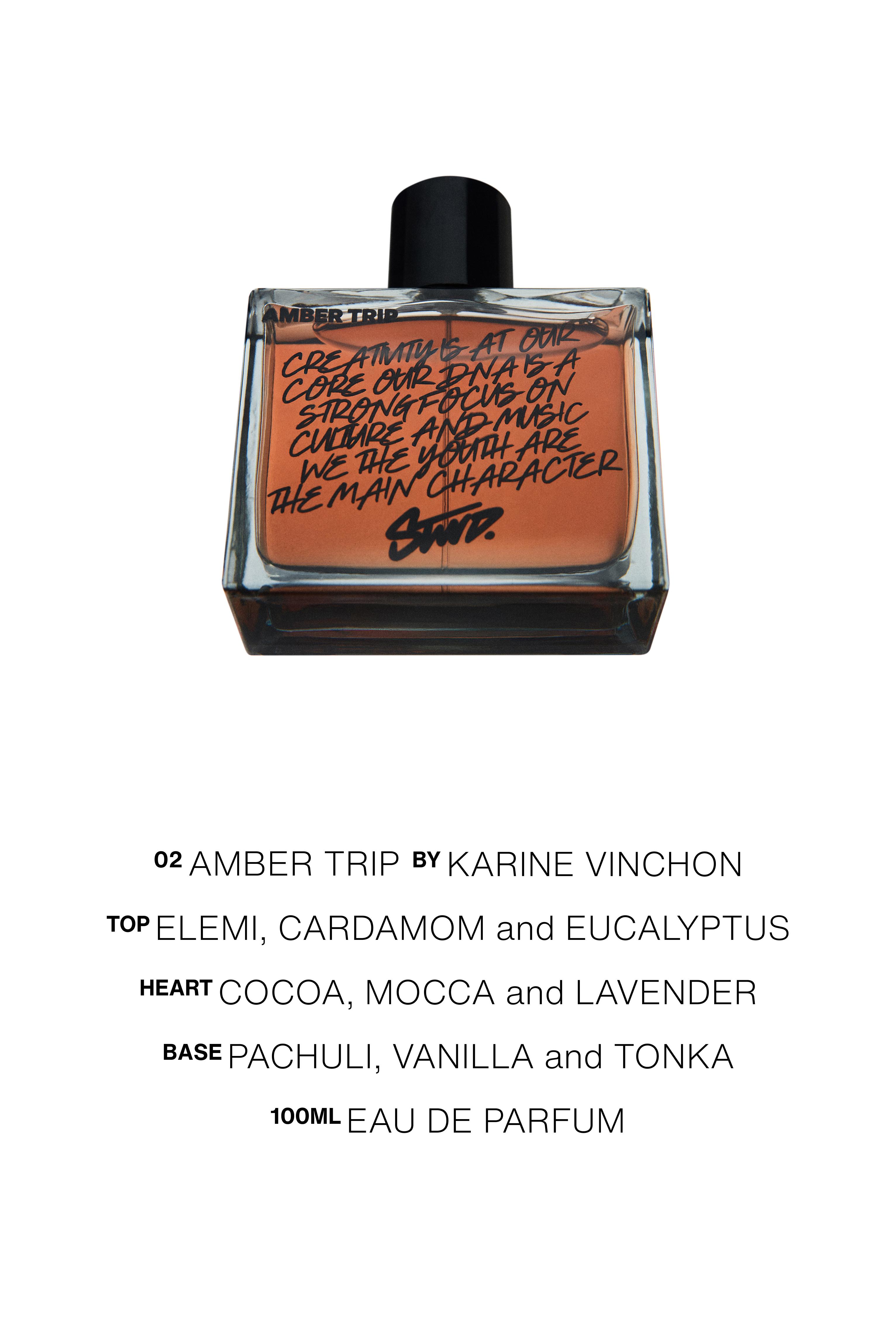 Amber Trip Perfume — 100 ml (3.38 fl oz)