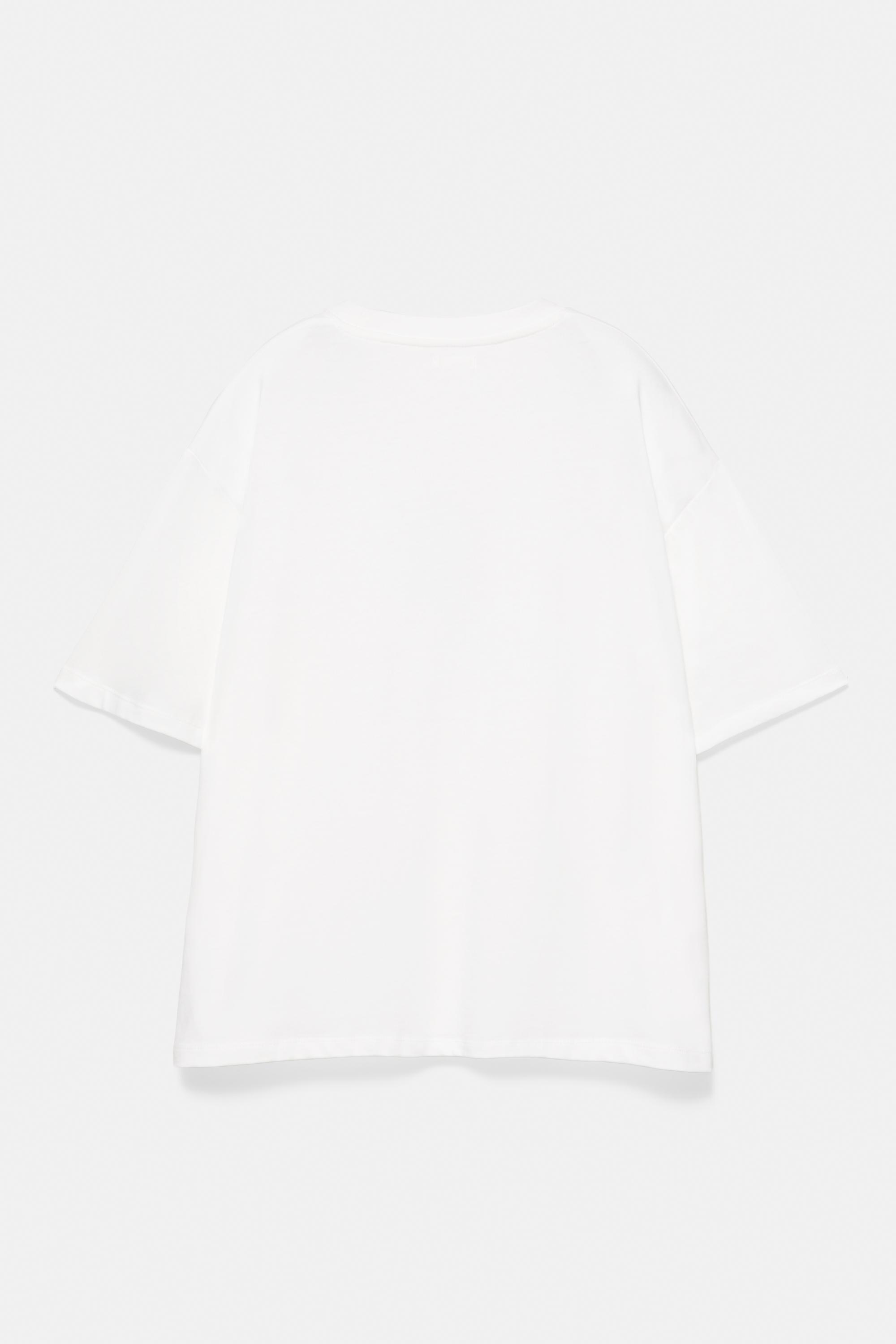 Pull&Bear Köpek grafik baskılı regular tişört görsel 5