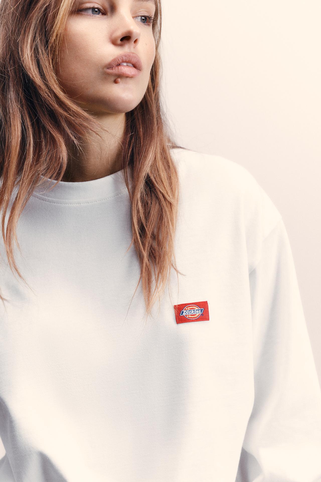 Dickies long sleeve T-shirt — Ice