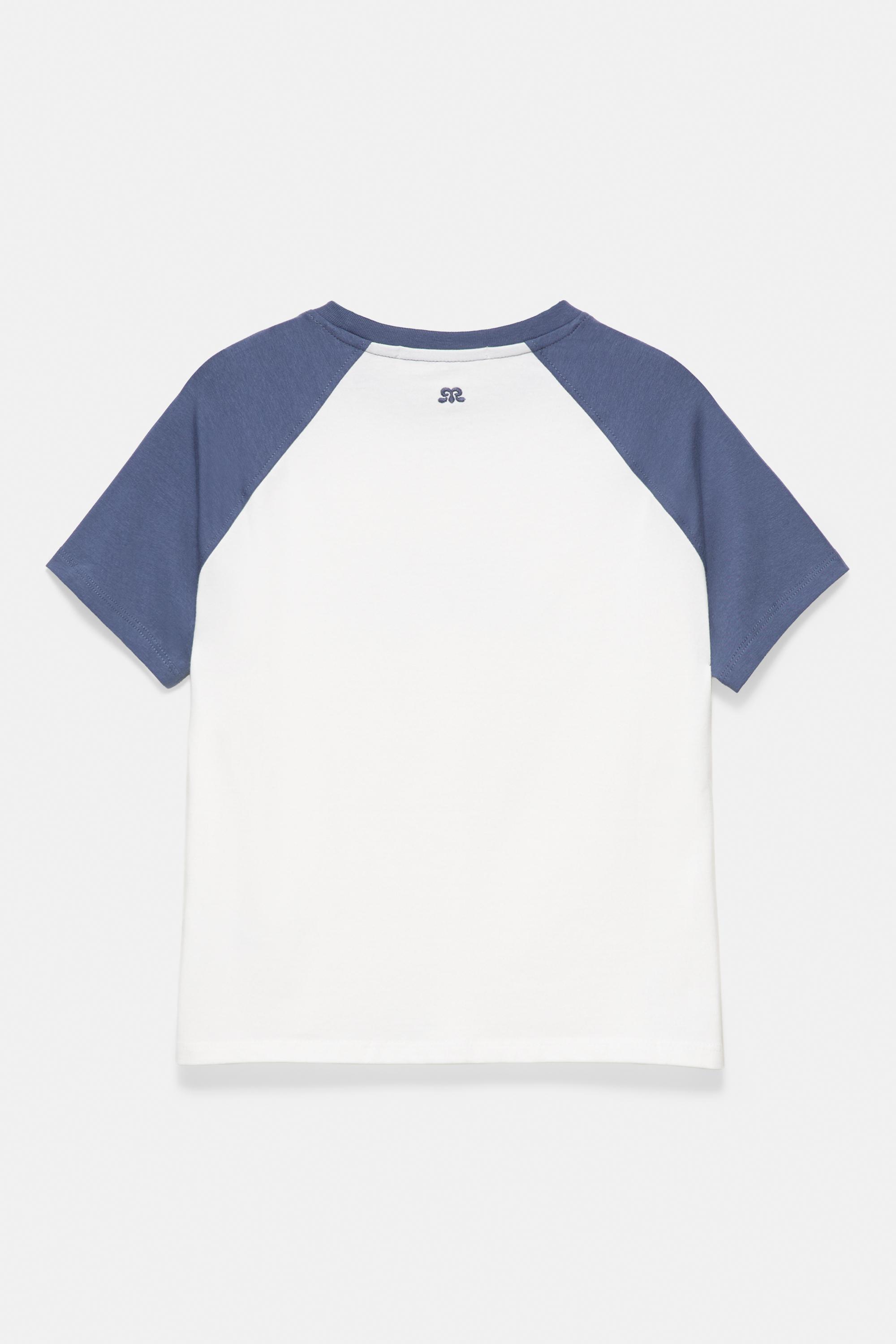 Raglan sleeve slogan T-shirt — Ice