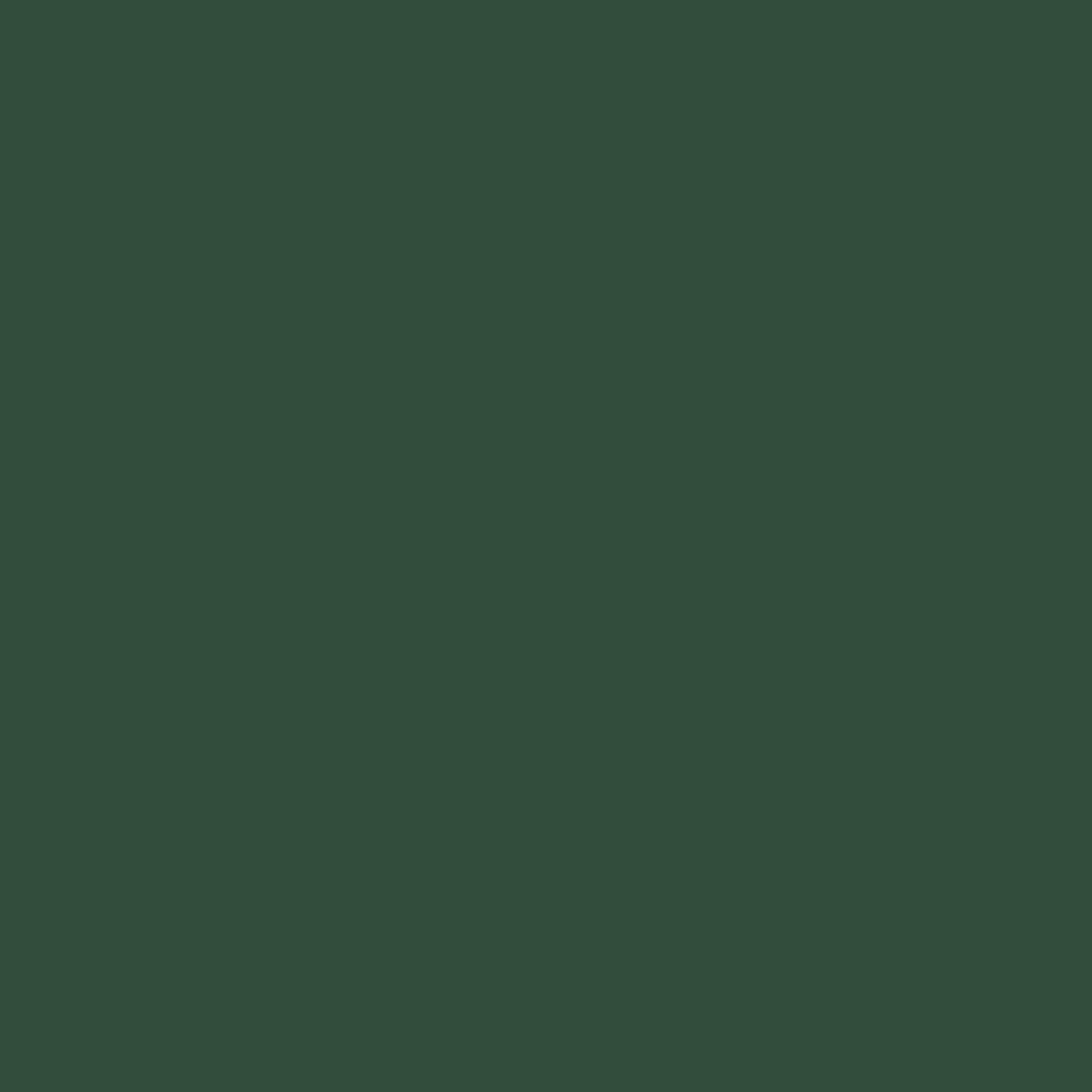Homer Simpson long socks — Green
