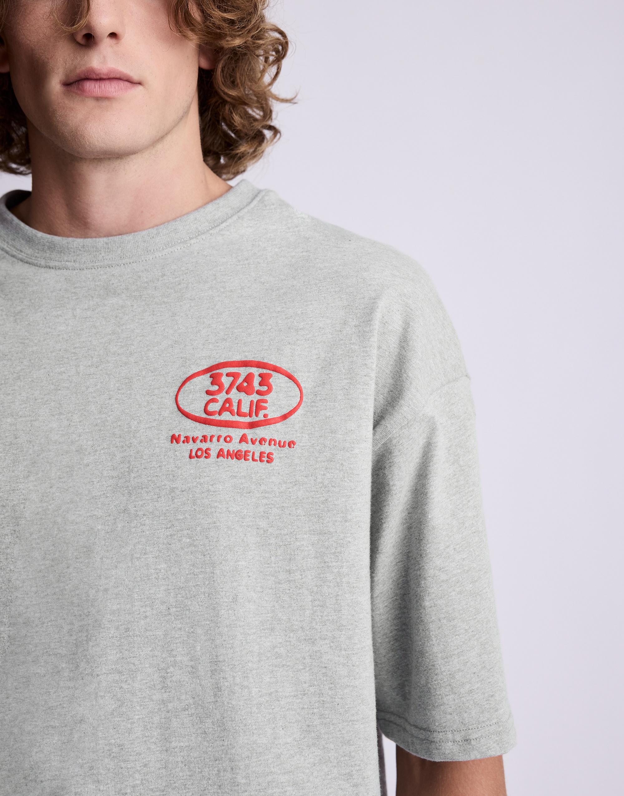 Relaxed fit T-shirt with raised graphic — Grey marl