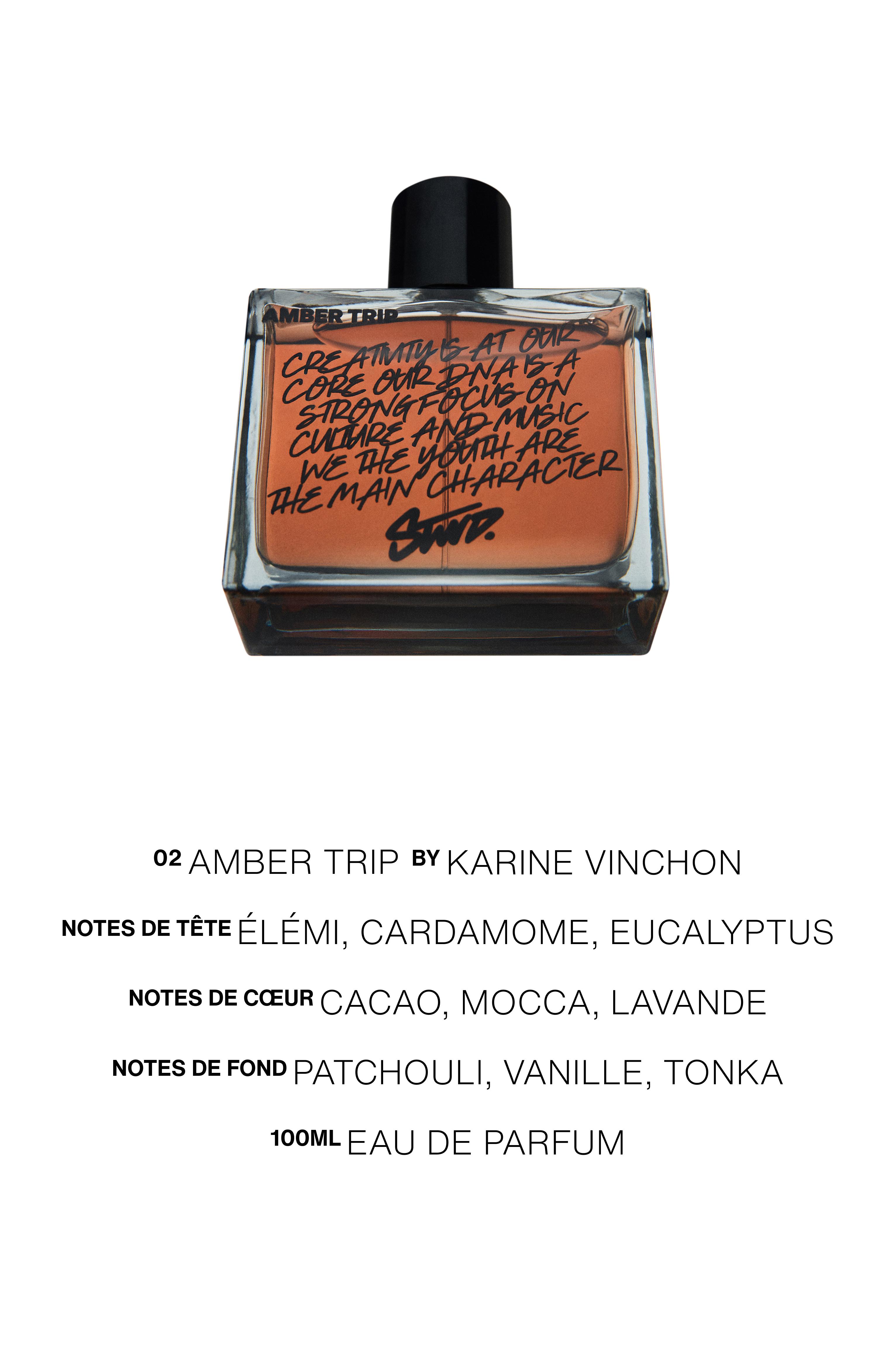 Amber Trip Perfume — 100 ml (3.38 fl oz)