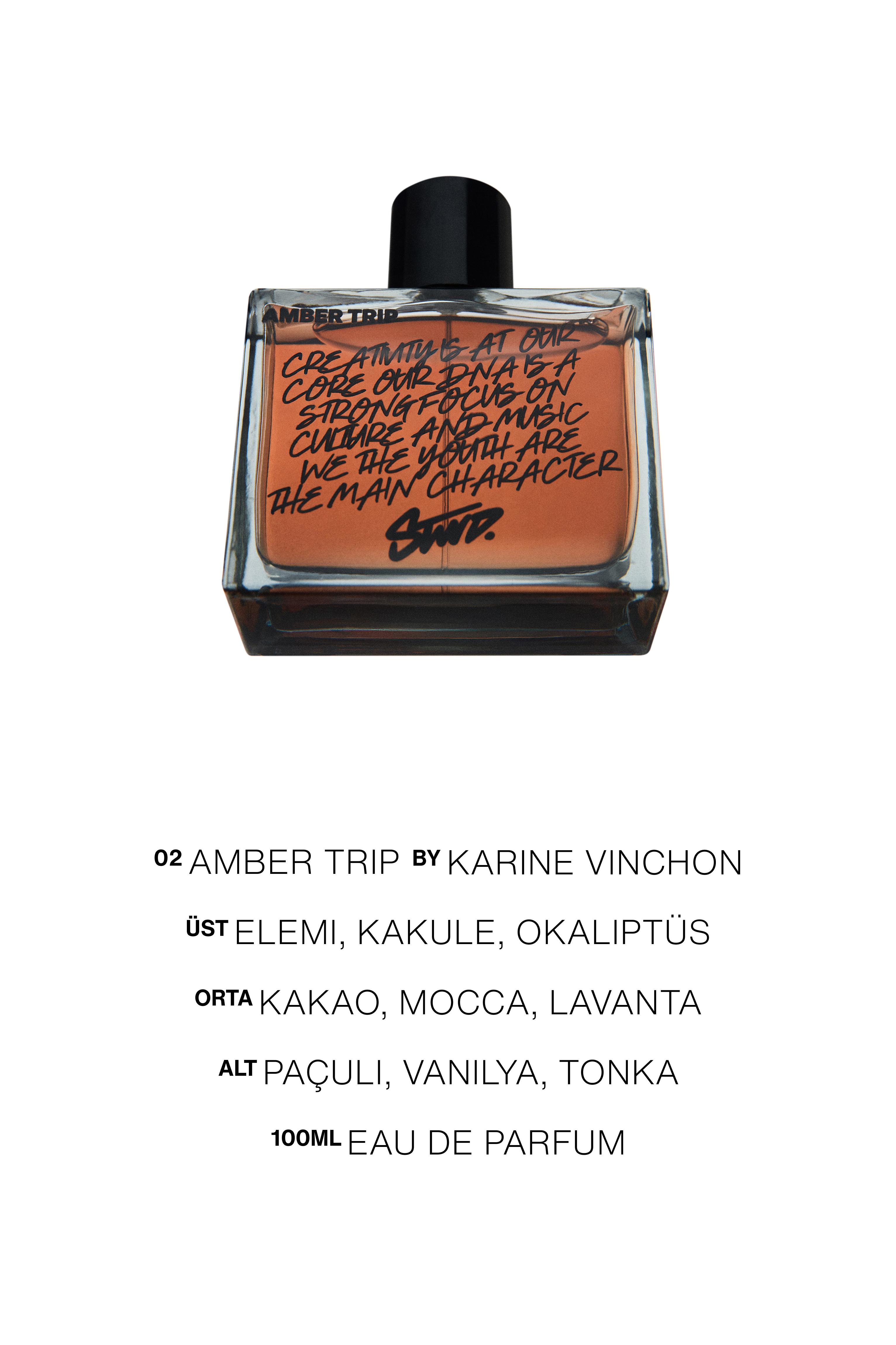 Amber Trip Perfume — 100 ml (3.38 fl oz)