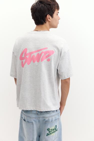 STWD logo boxy T-shirt — Pearl grey 2