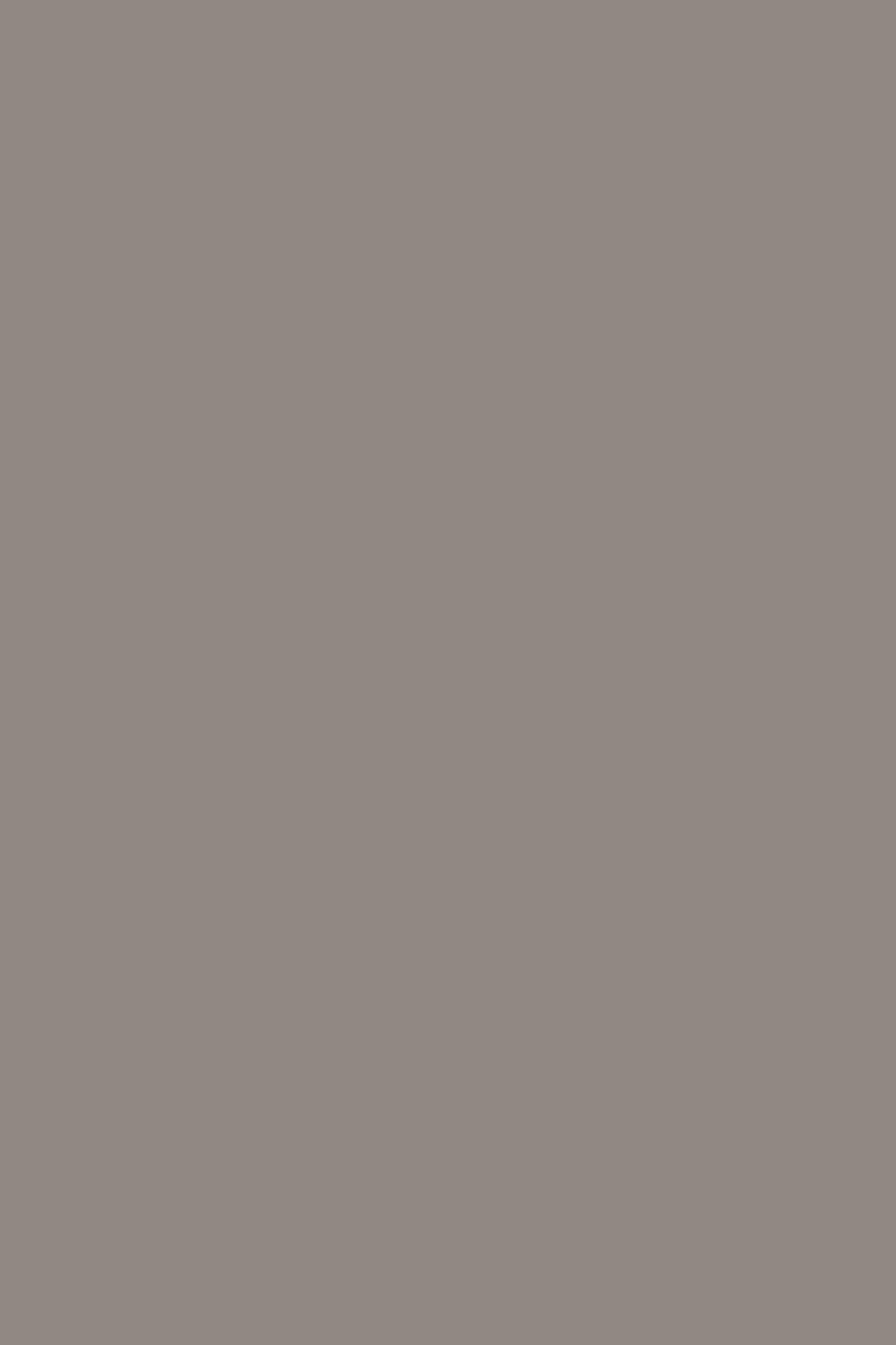 Wide-leg tailored trousers — Grey
