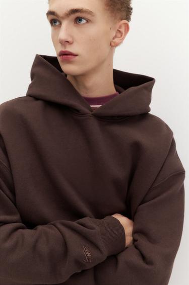 STWD hood sweatshirt — Brown 3