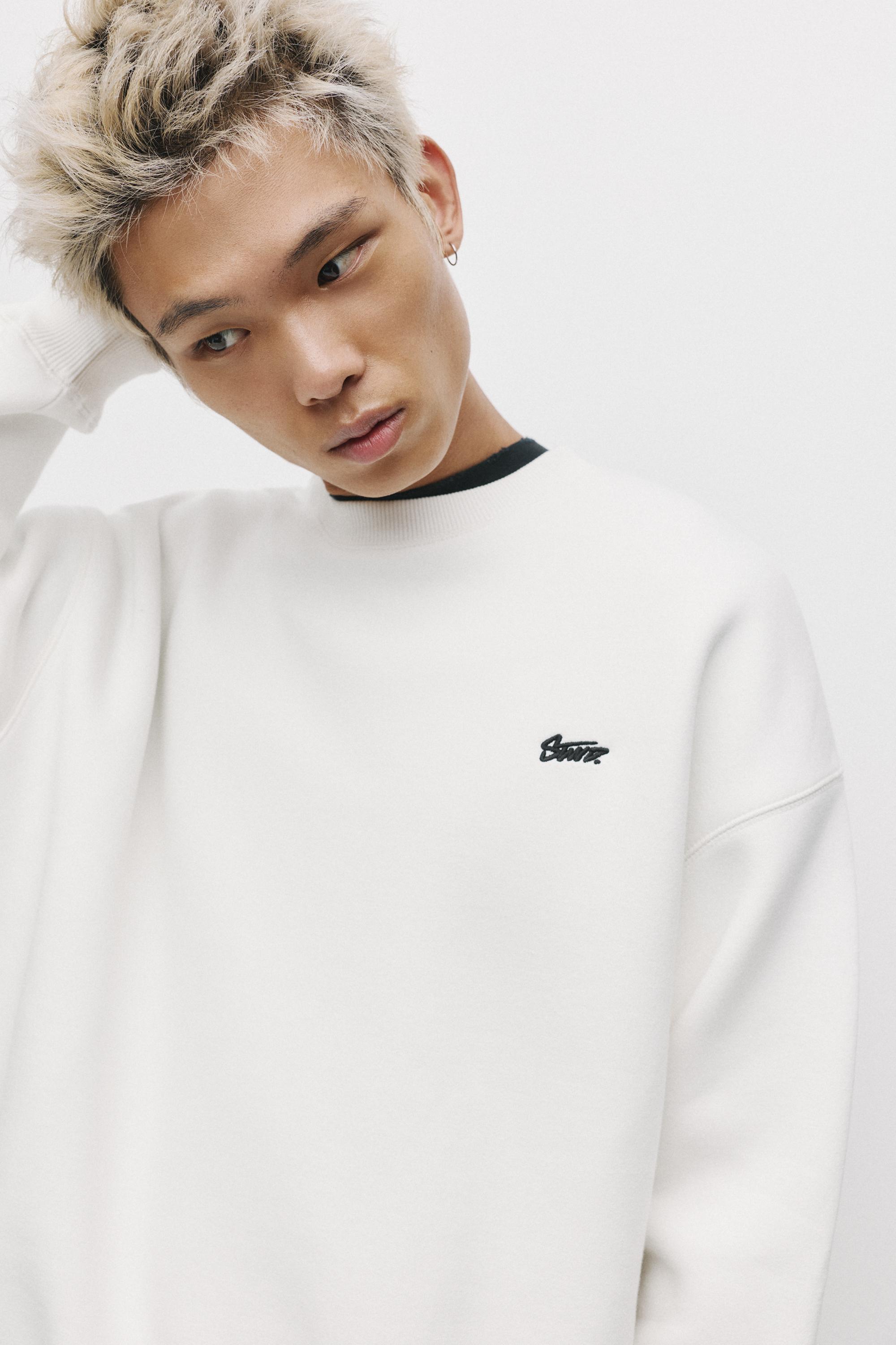 STWD bisiklet yaka sweatshirt - Görsel 68