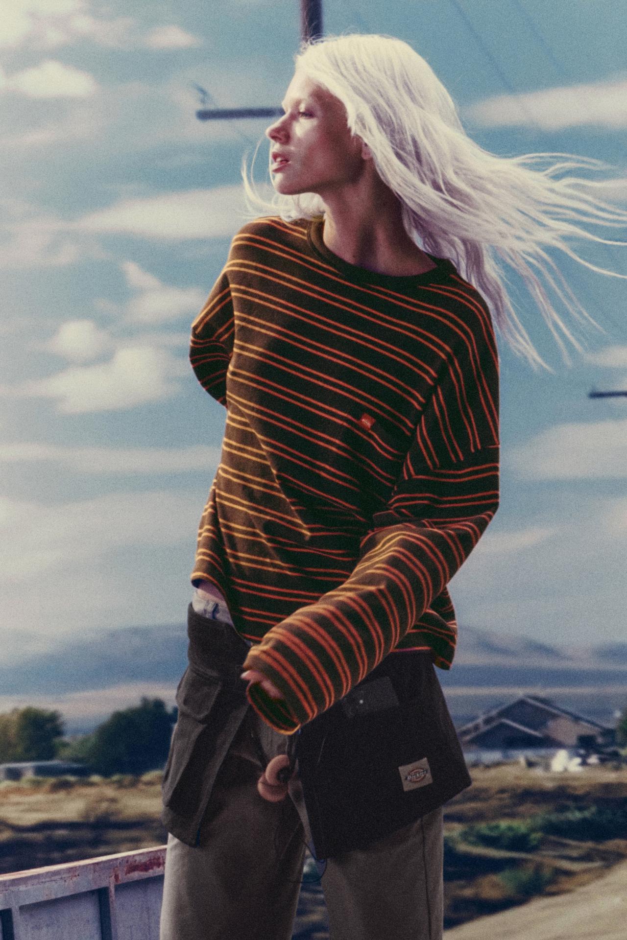 Dickies striped T-shirt — Striped