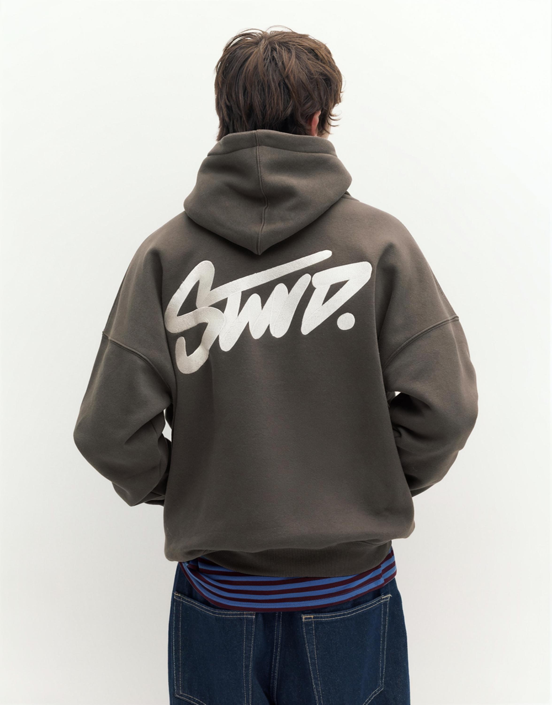 STWD kapüşonlu sweatshirt - Görsel 98