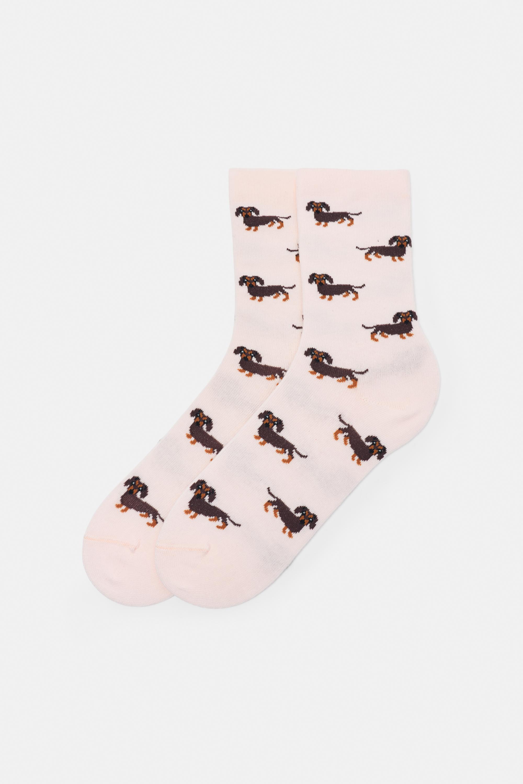 Chaussettes Motif Teckel