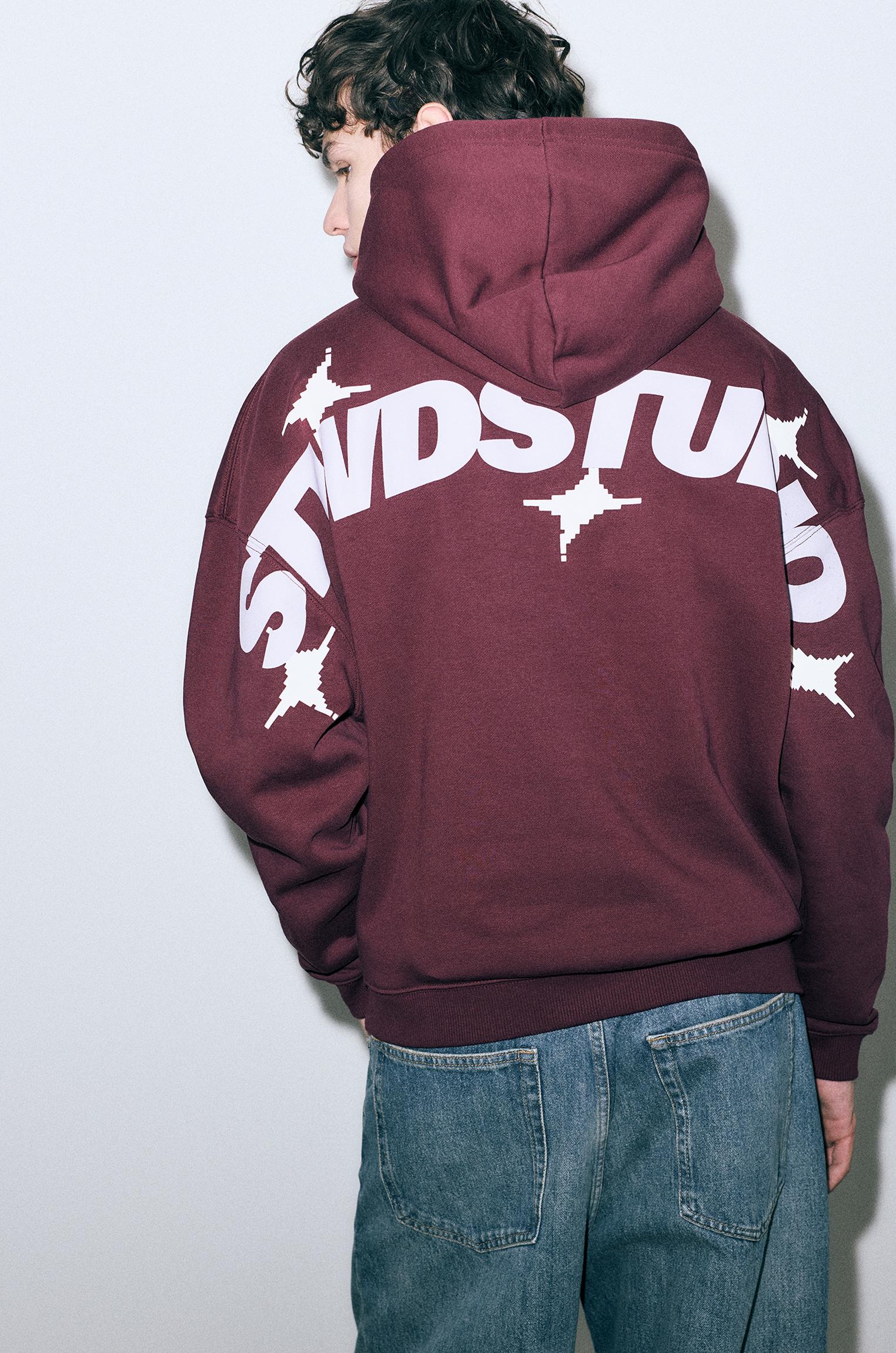 STWD Studio kapüşonlu sweatshirt - Görsel 20