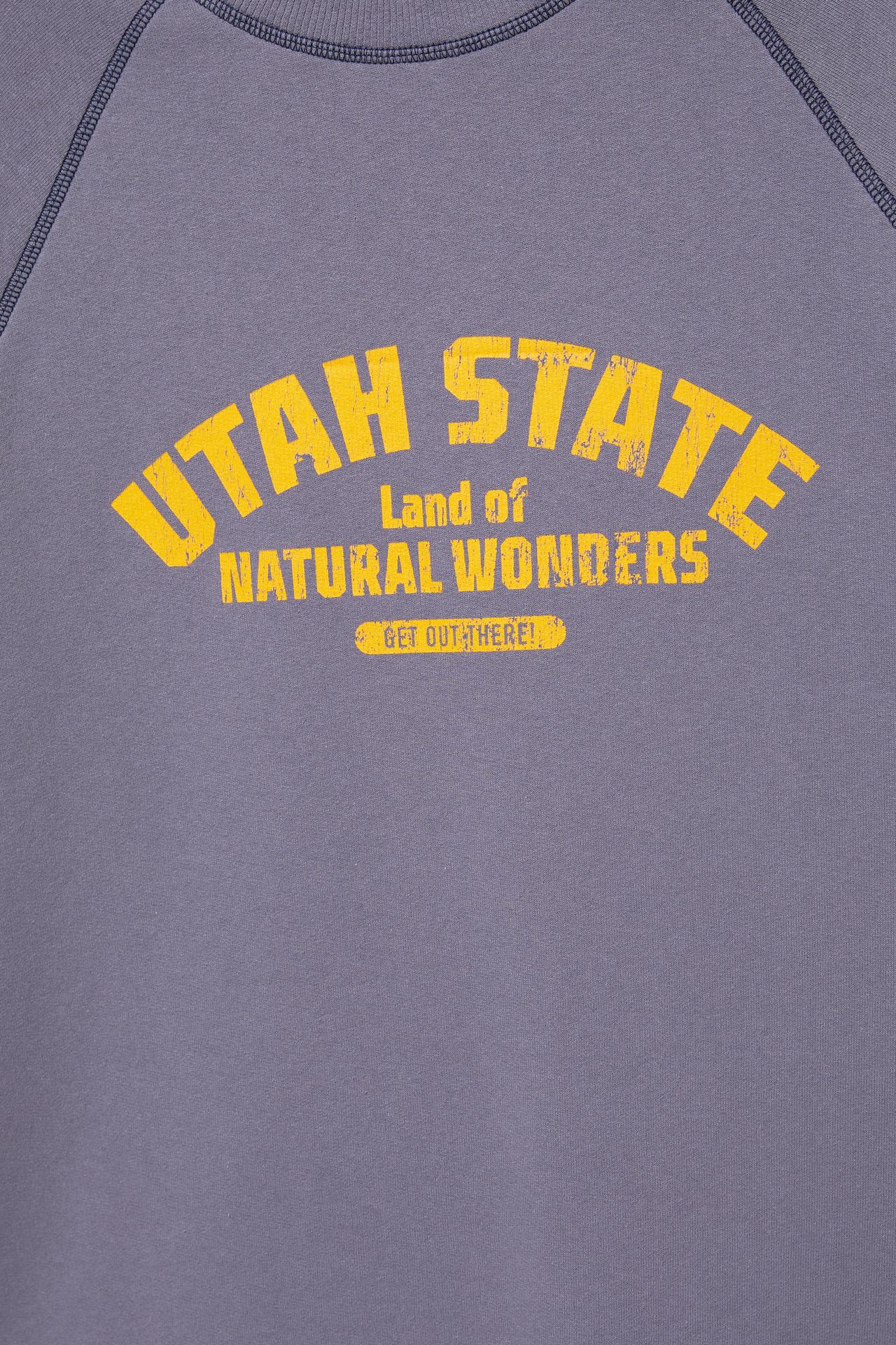 Short sleeve sweatshirt with graphic — Mauve