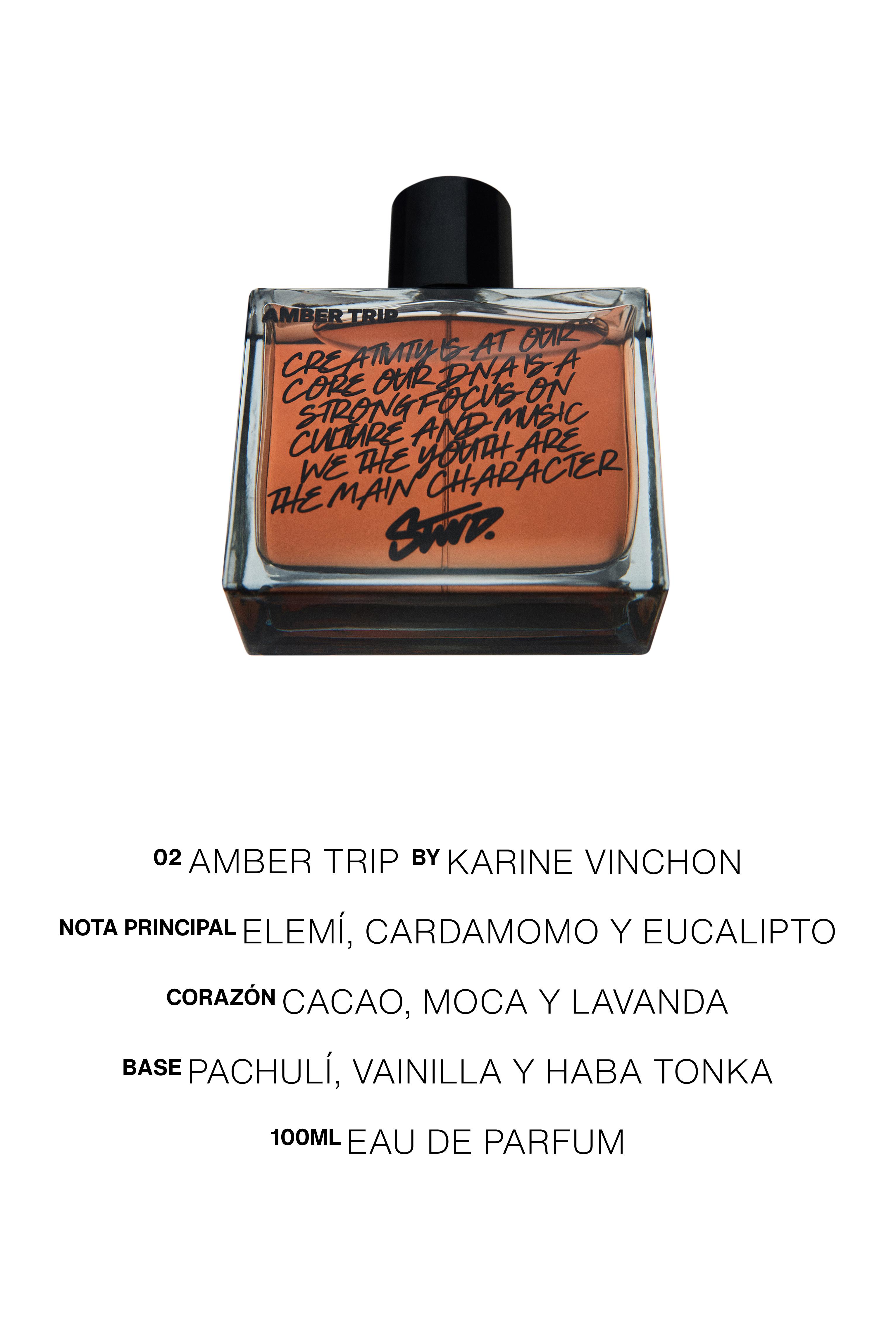 Amber Trip Perfume — 100 ml (3.38 fl oz)