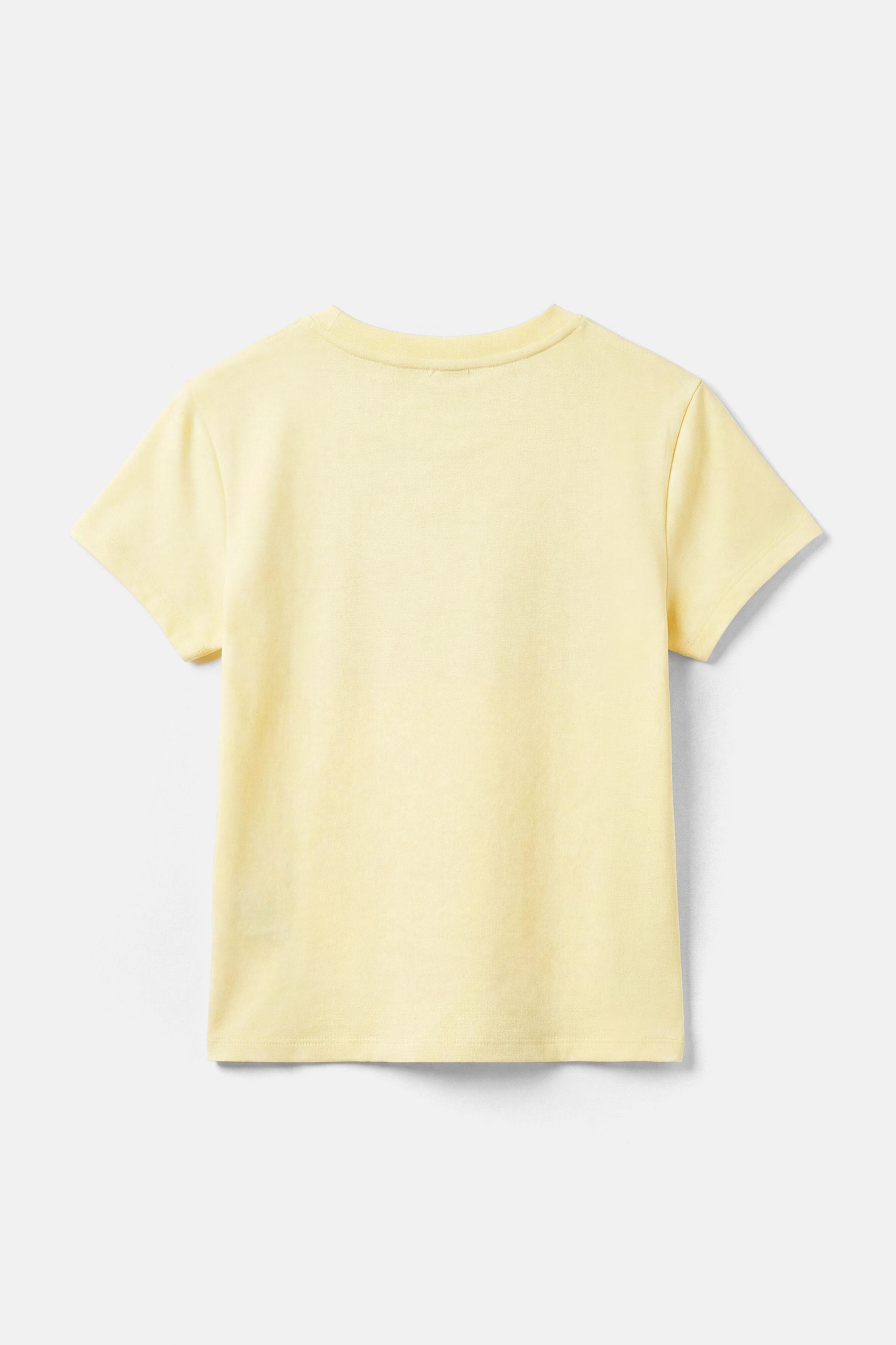 Dolphin T-shirt