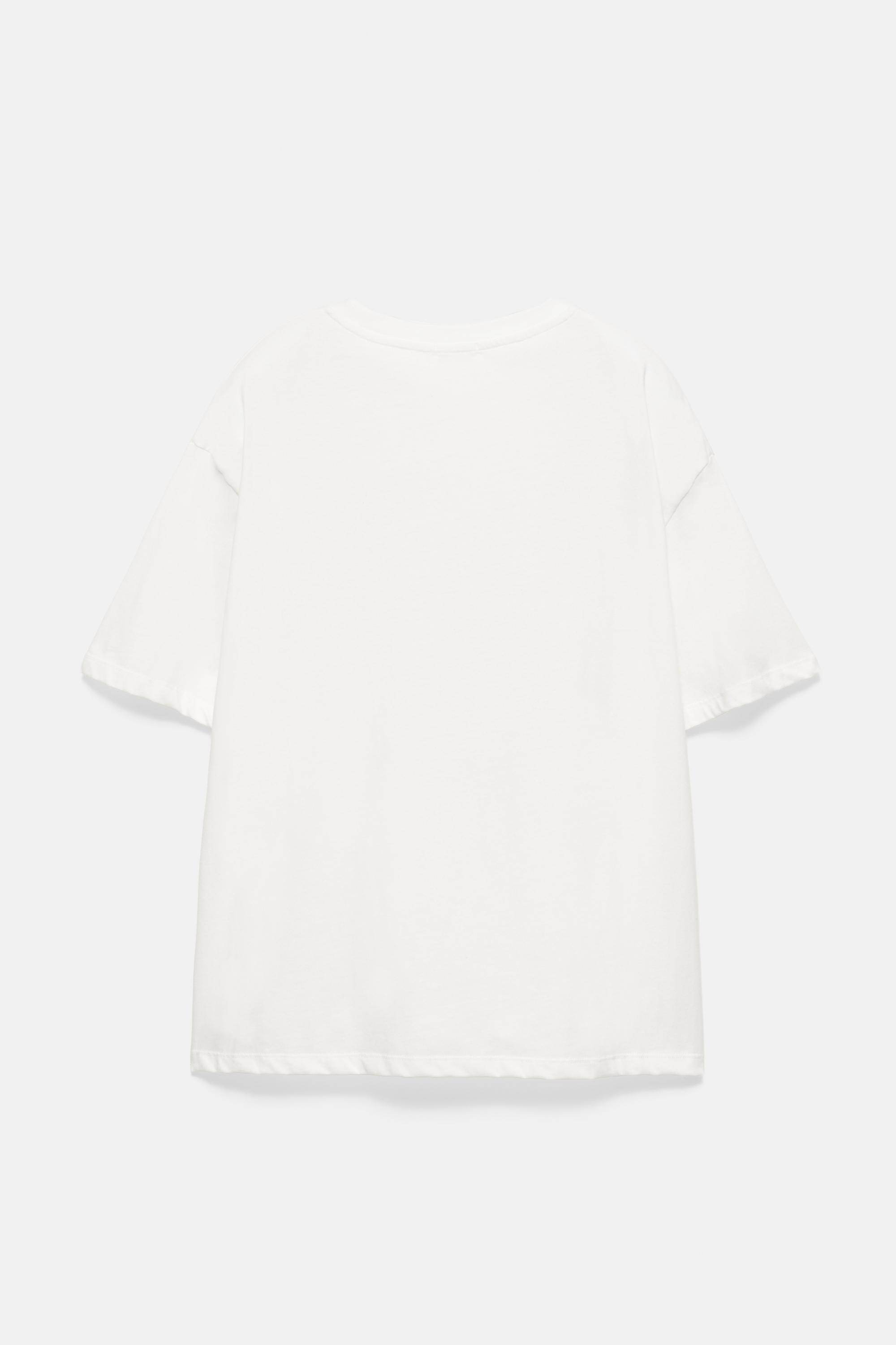 Puppy graphic T-shirt — Ice
