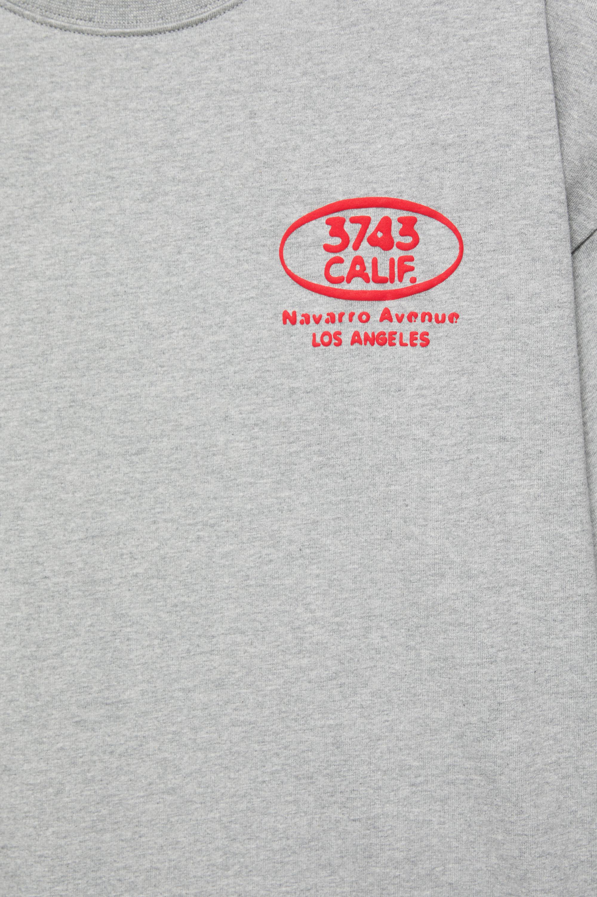 Relaxed fit T-shirt with raised graphic — Grey marl