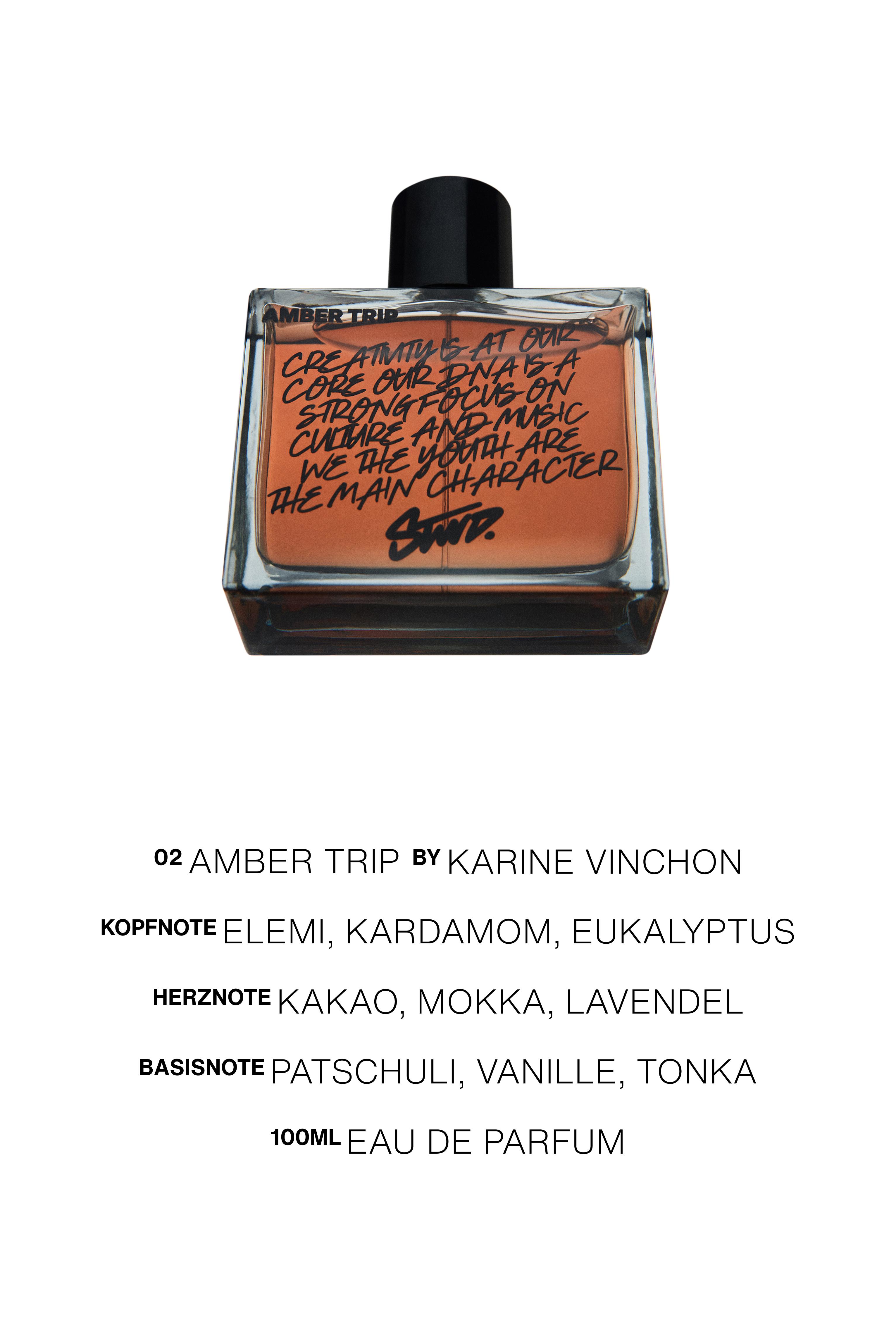 Amber Trip Perfume — 100 ml (3.38 fl oz)
