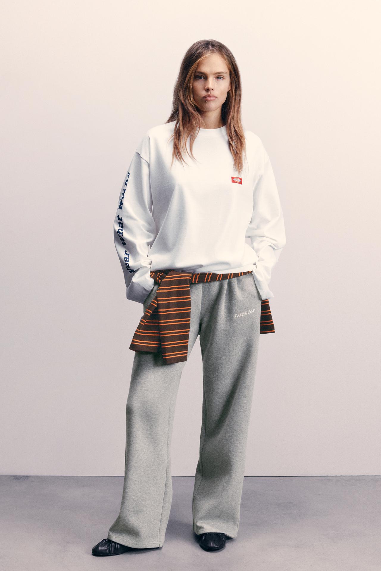 Dickies long sleeve T-shirt — Ice