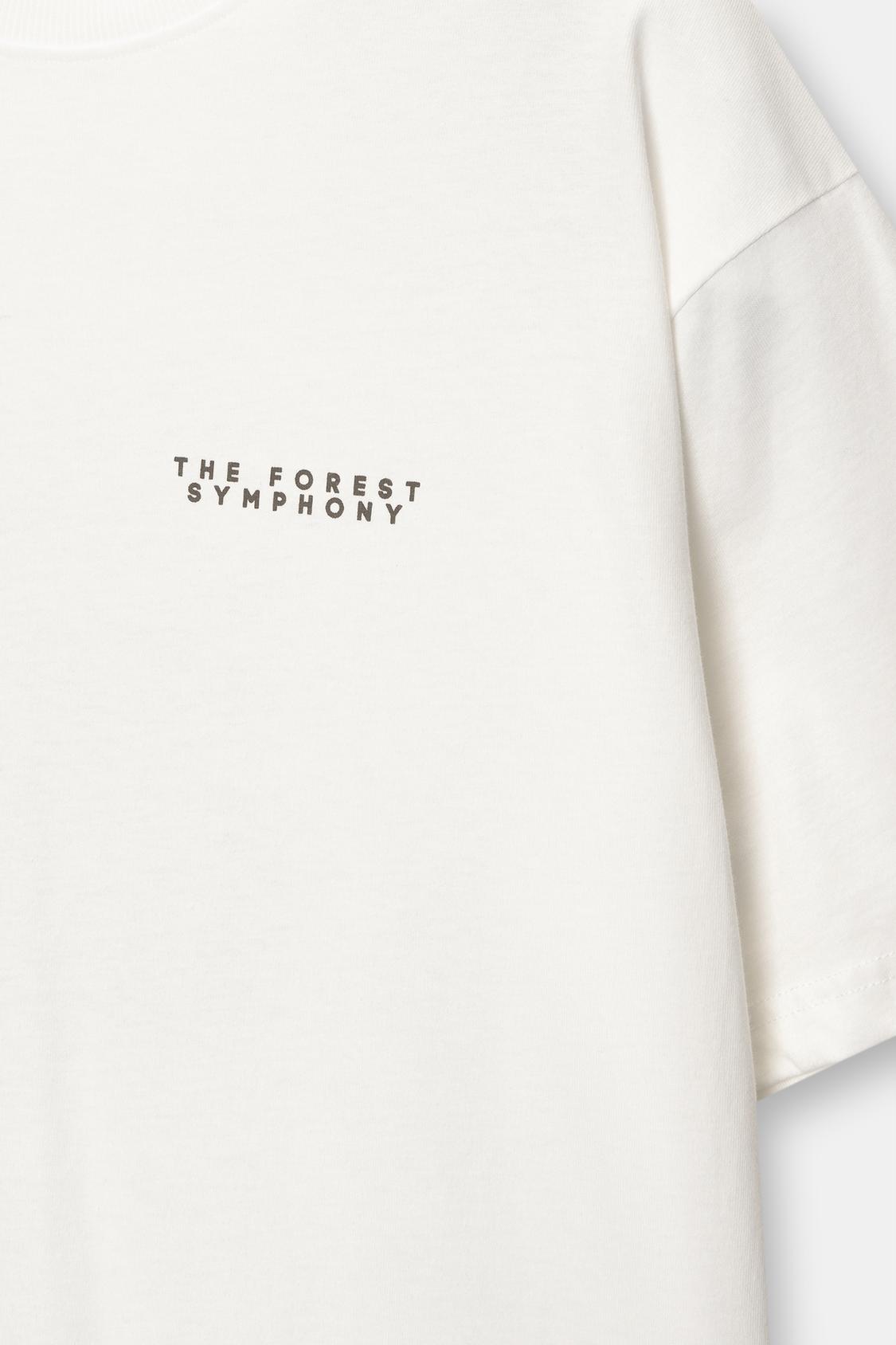 Rustic graphic T-shirt - PULL&BEAR 