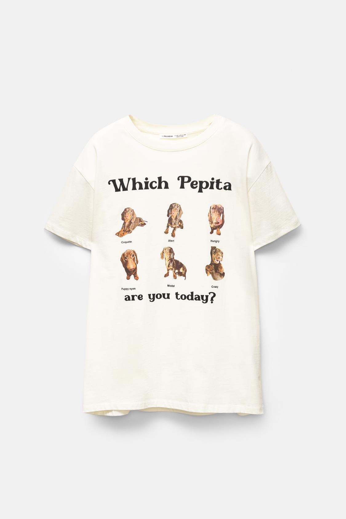 Pullandbear Pull And Bear Yoda T-shirt With Dog Graphic PULL&BEAR