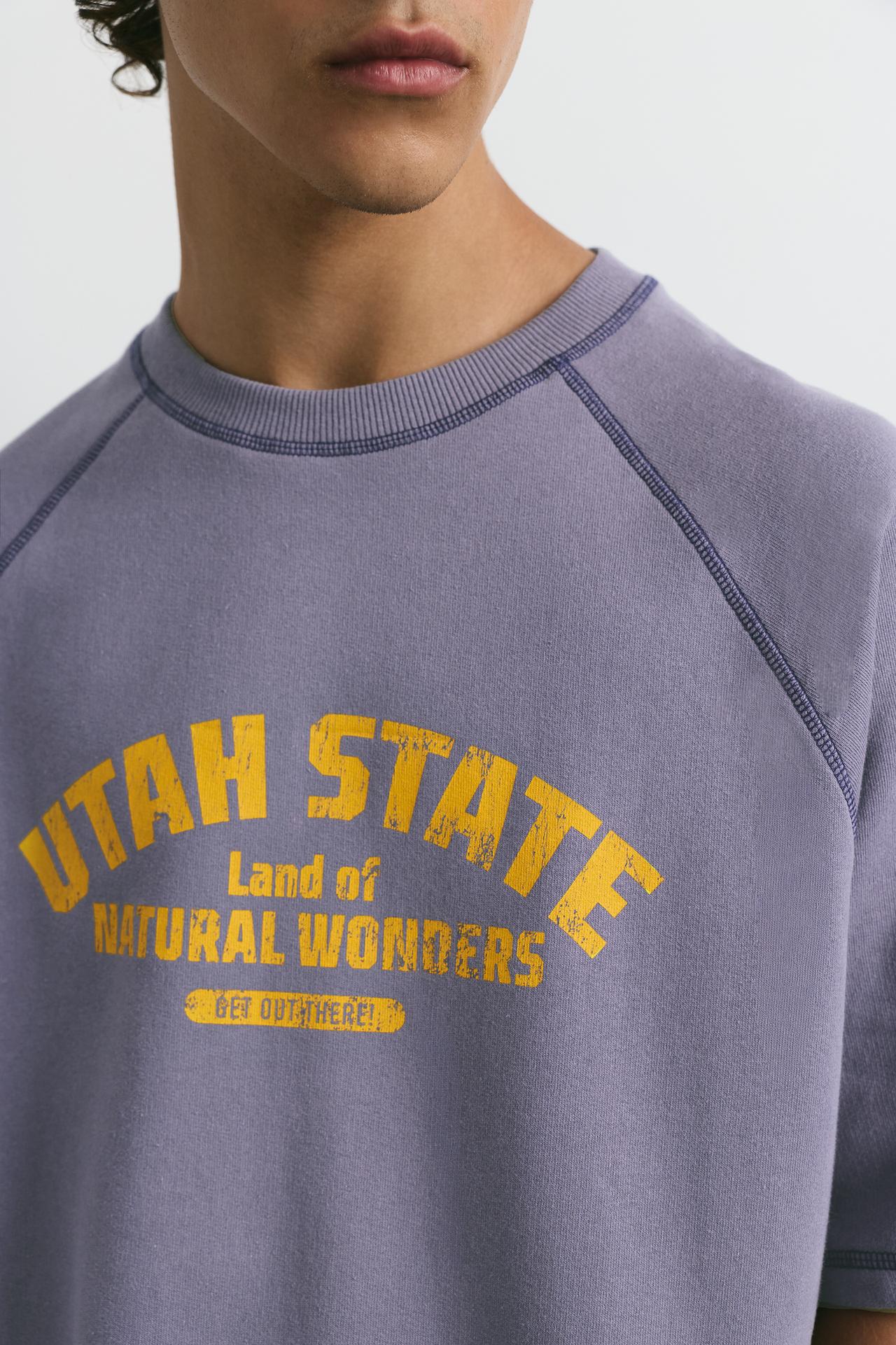Short sleeve sweatshirt with graphic — Mauve