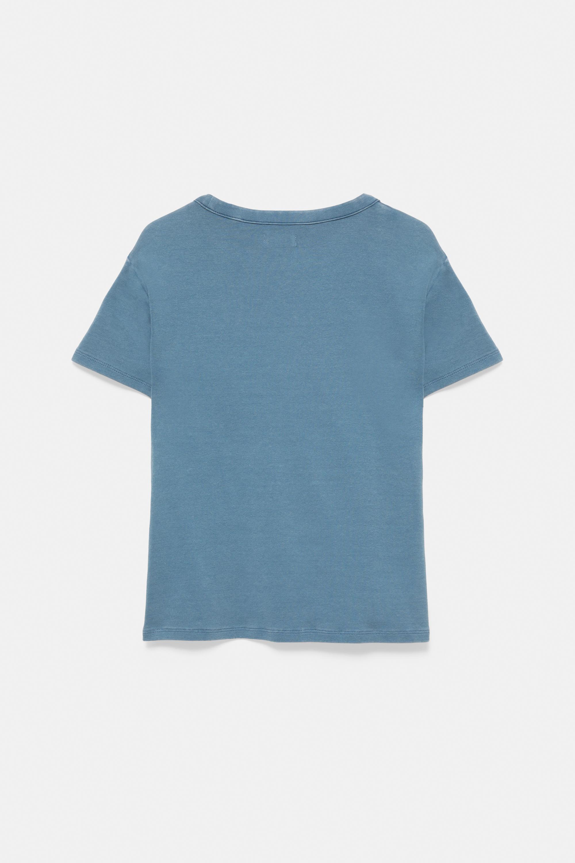Regular fit crackled graphic T-shirt — Grey/Blue