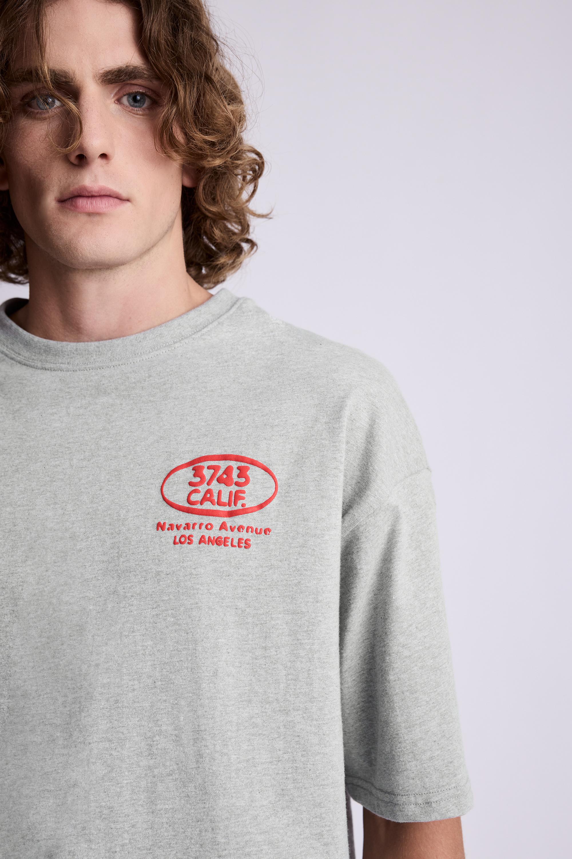 Relaxed fit T-shirt with raised graphic — Grey marl