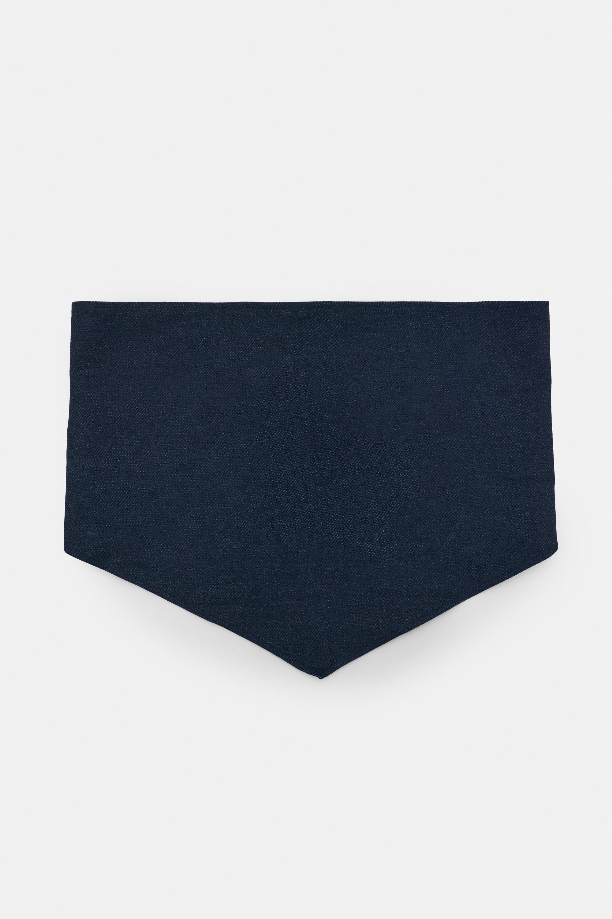 Kot bandana