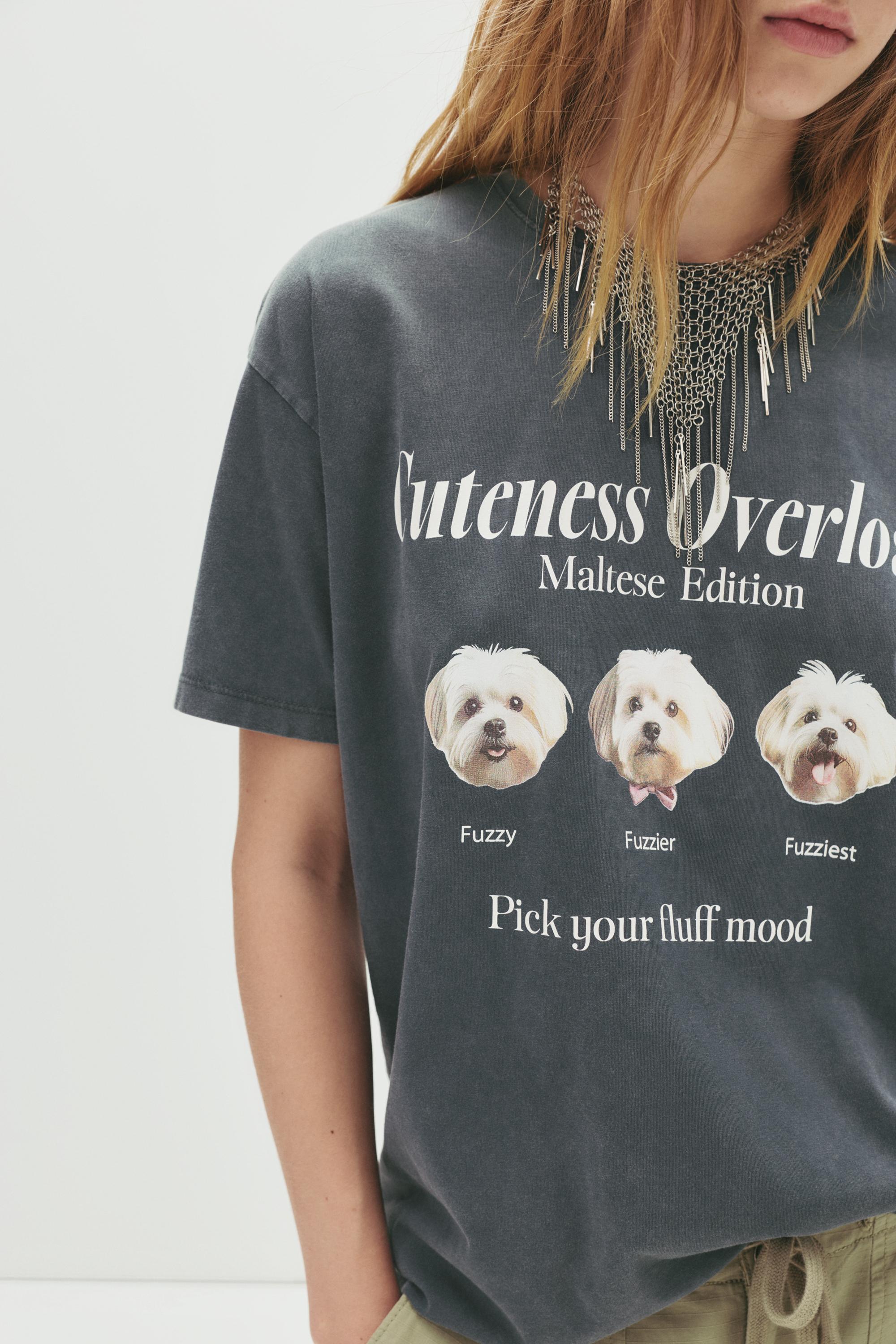 T-shirt with dog graphic - pull&bear T-shirt with dog graphic - pull&bear