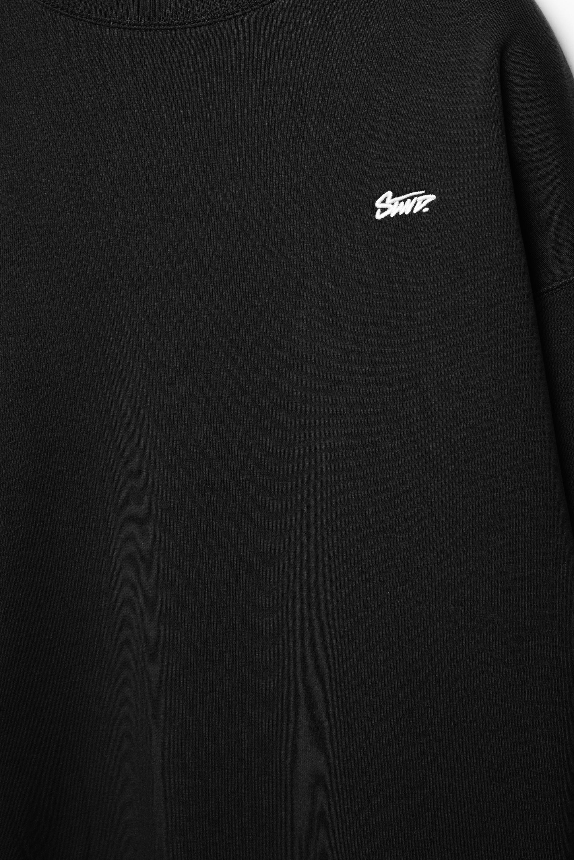 STWD bisiklet yaka sweatshirt - Görsel 51