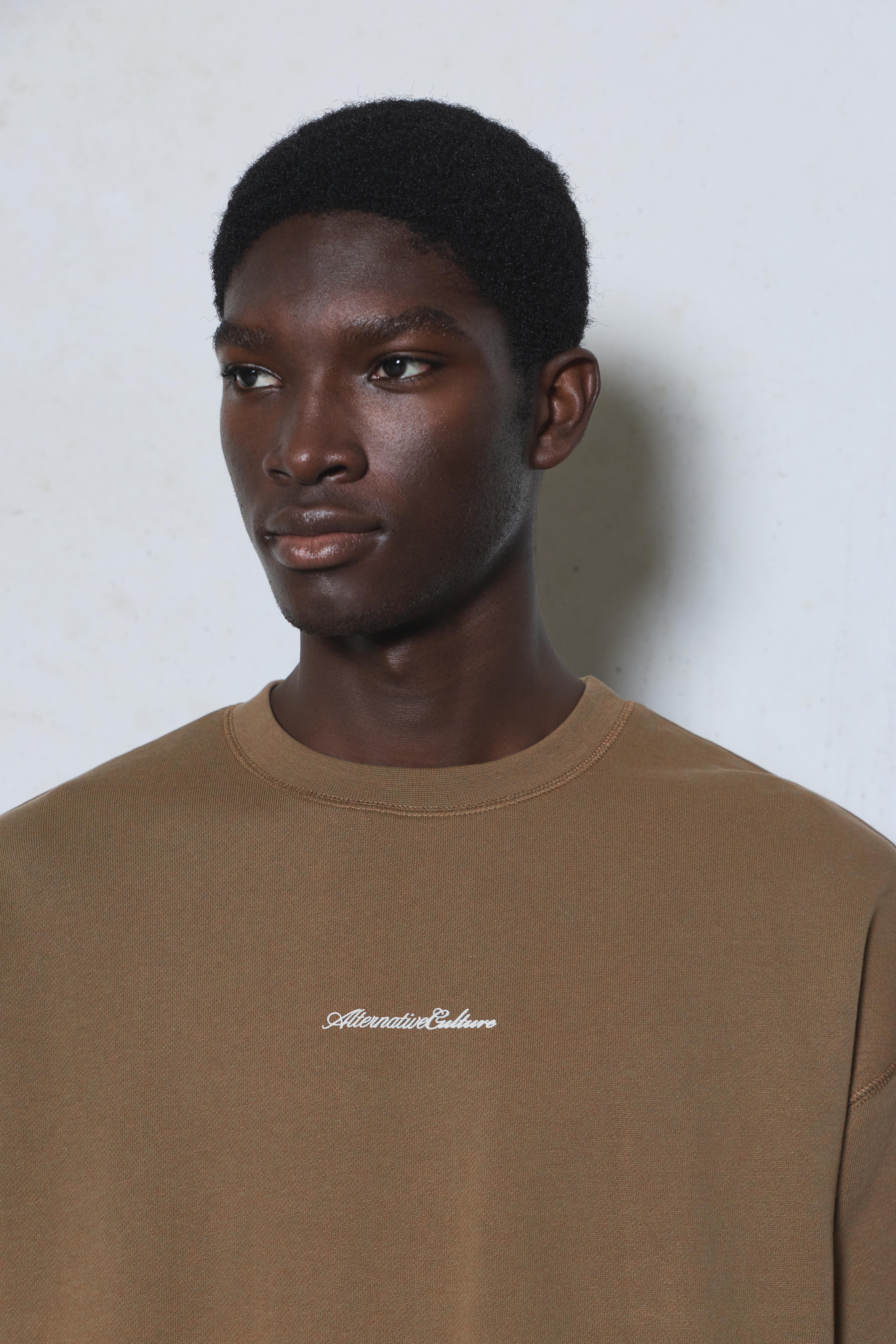 Short sleeve relaxed fit sweatshirt — Mole brown