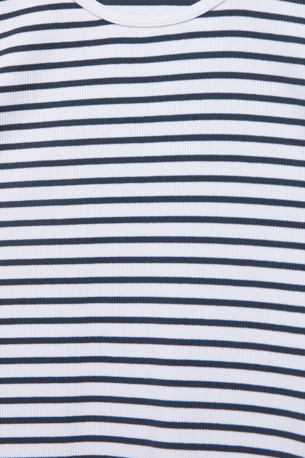 Ribbed short sleeve T-shirt — Striped