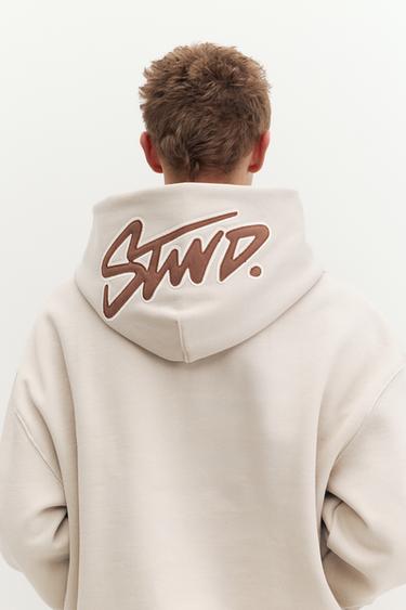 STWD hood sweatshirt — Ash 3