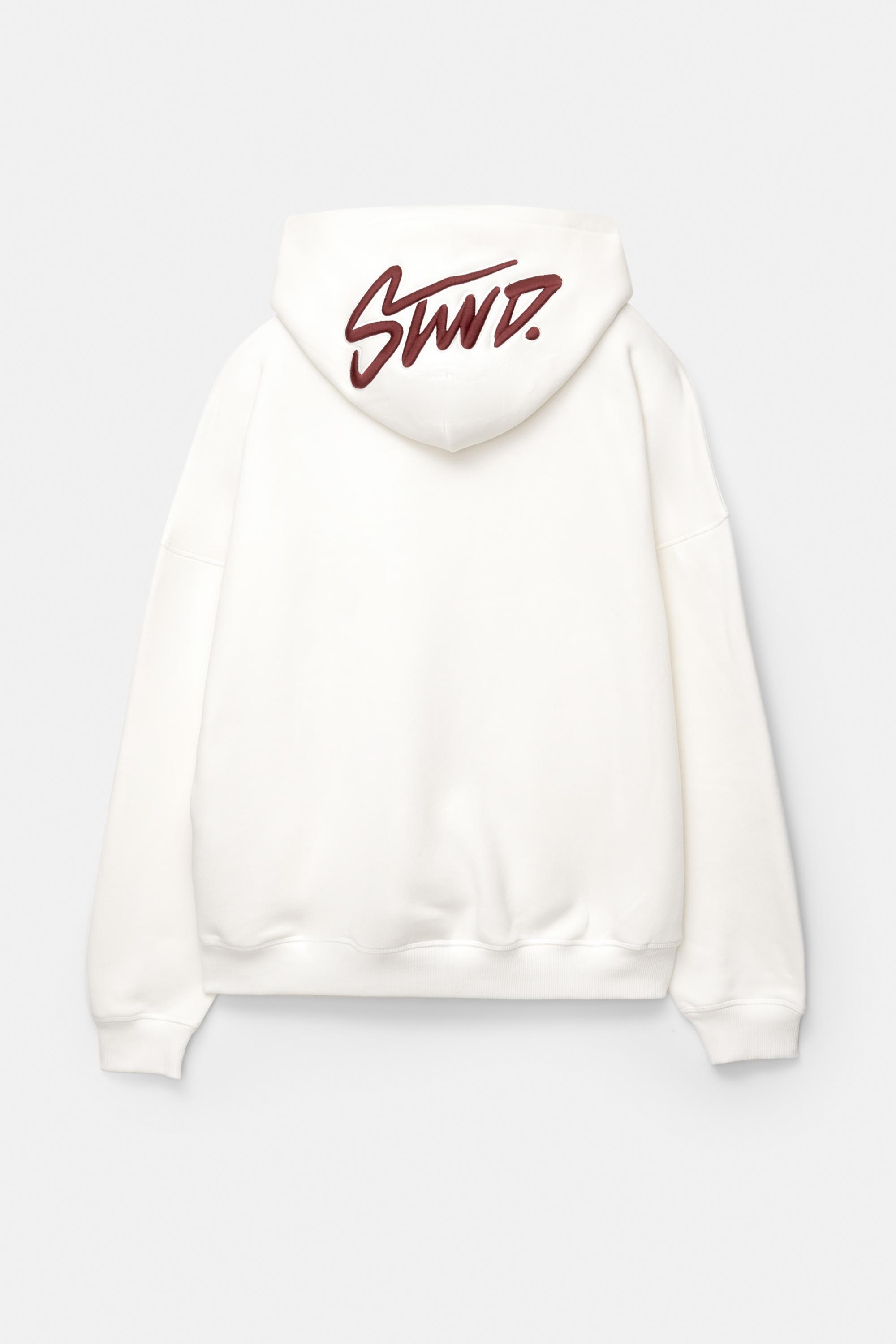 STWD İşlemeli kapüşonlu sweatshirt - Görsel 58