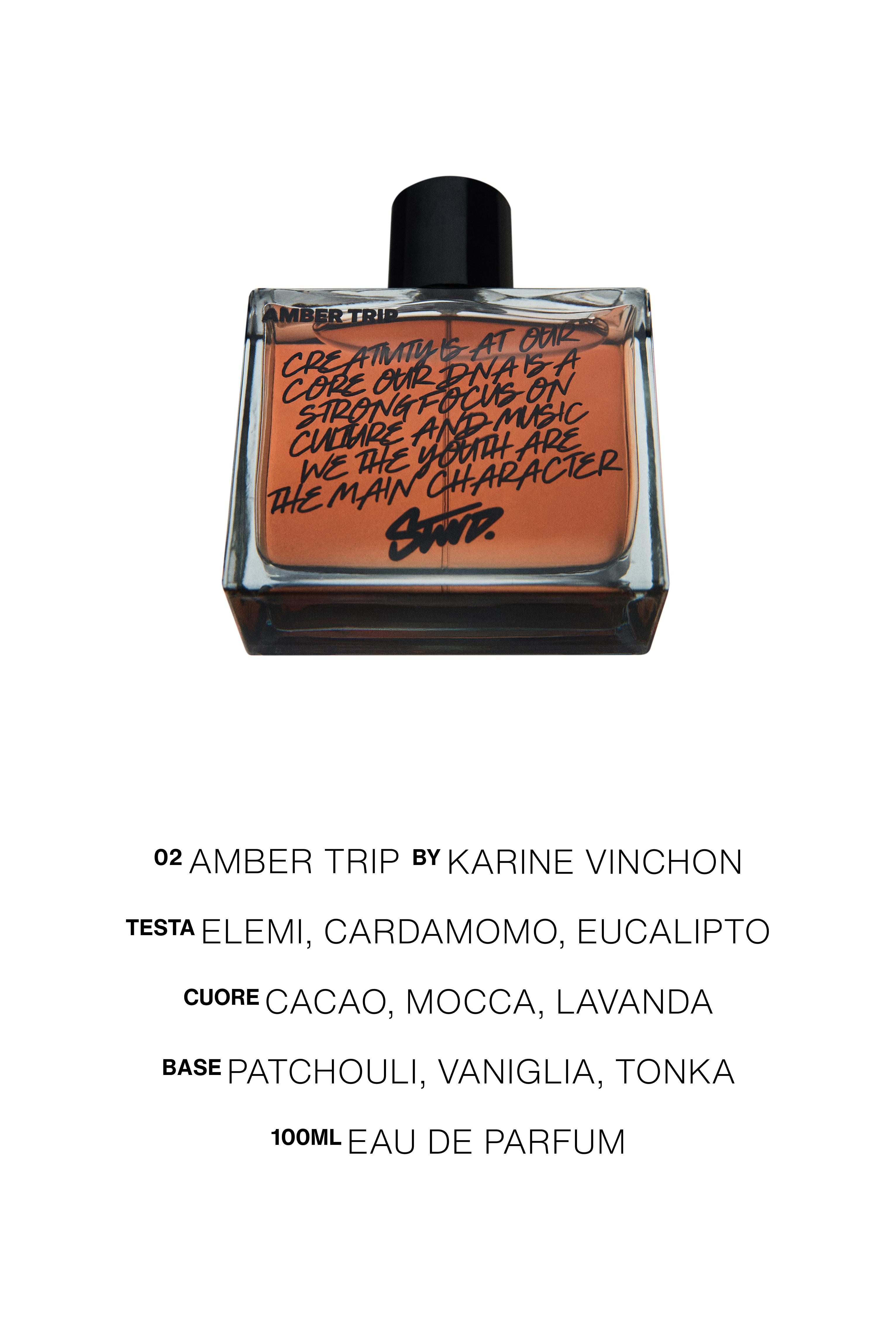 Amber Trip Perfume — 100 ml (3.38 fl oz)