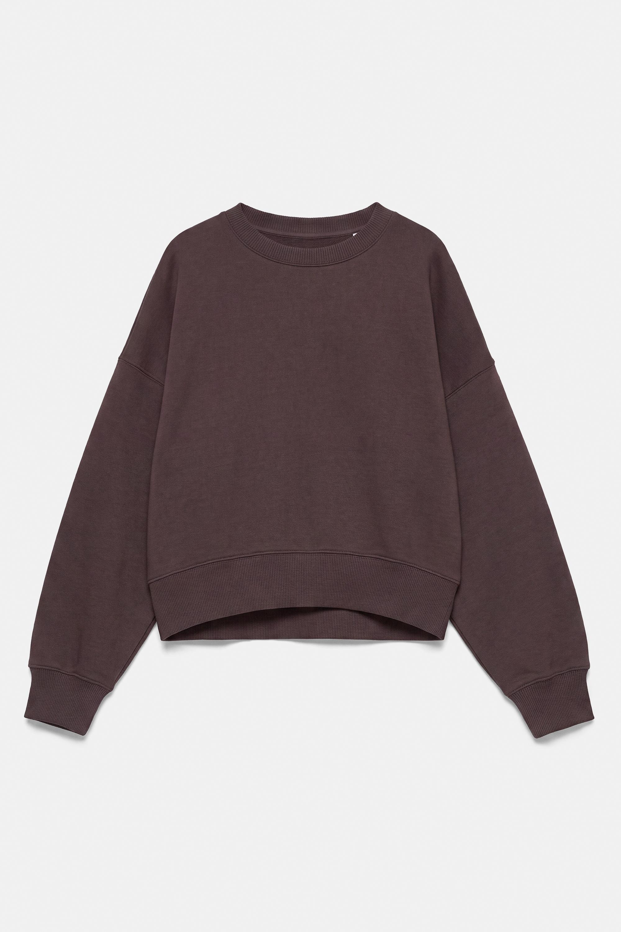 Round neck sweatshirt — Brown (alternate view)